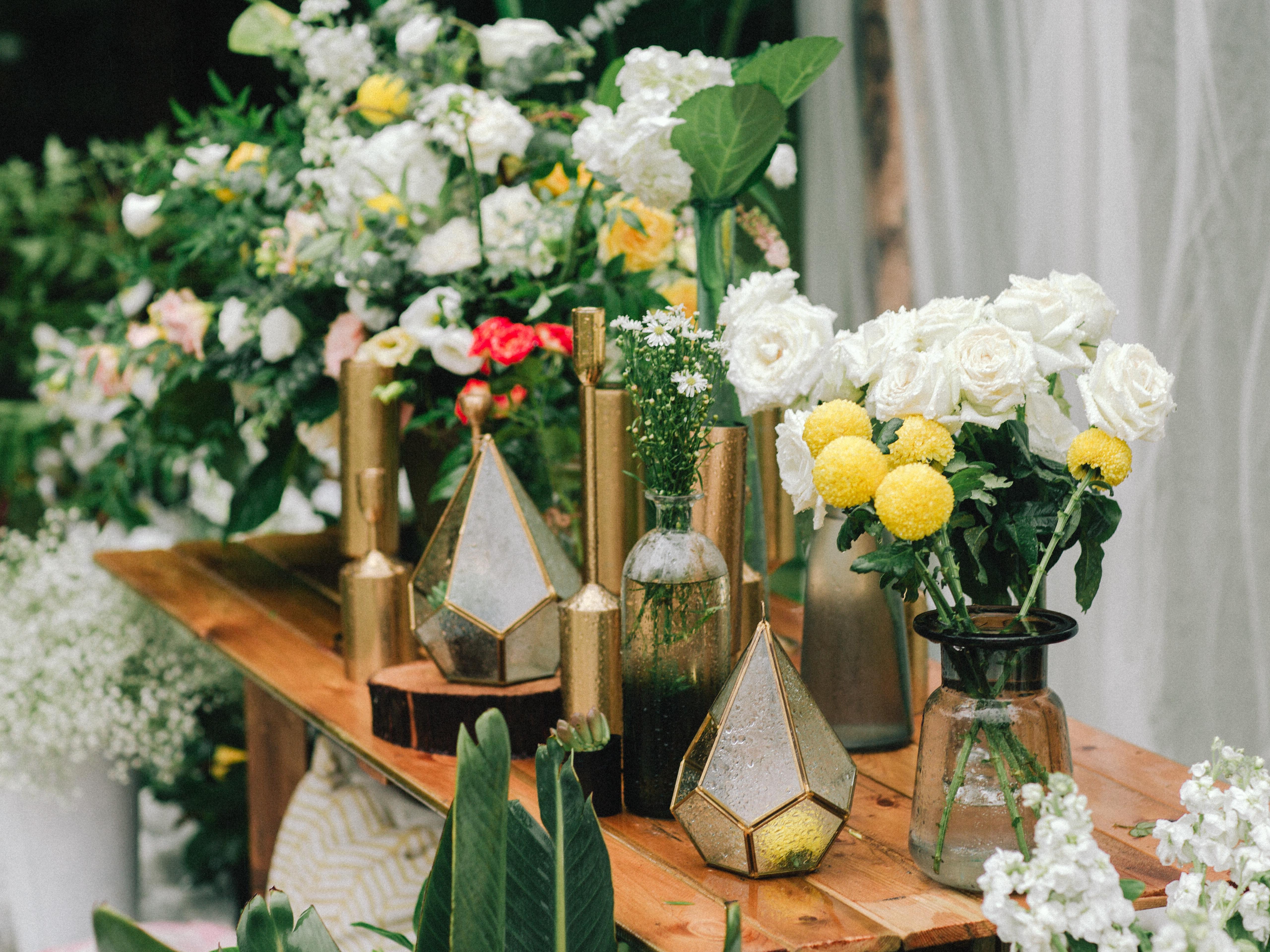 布置加四大金刚INS风格2万拿去