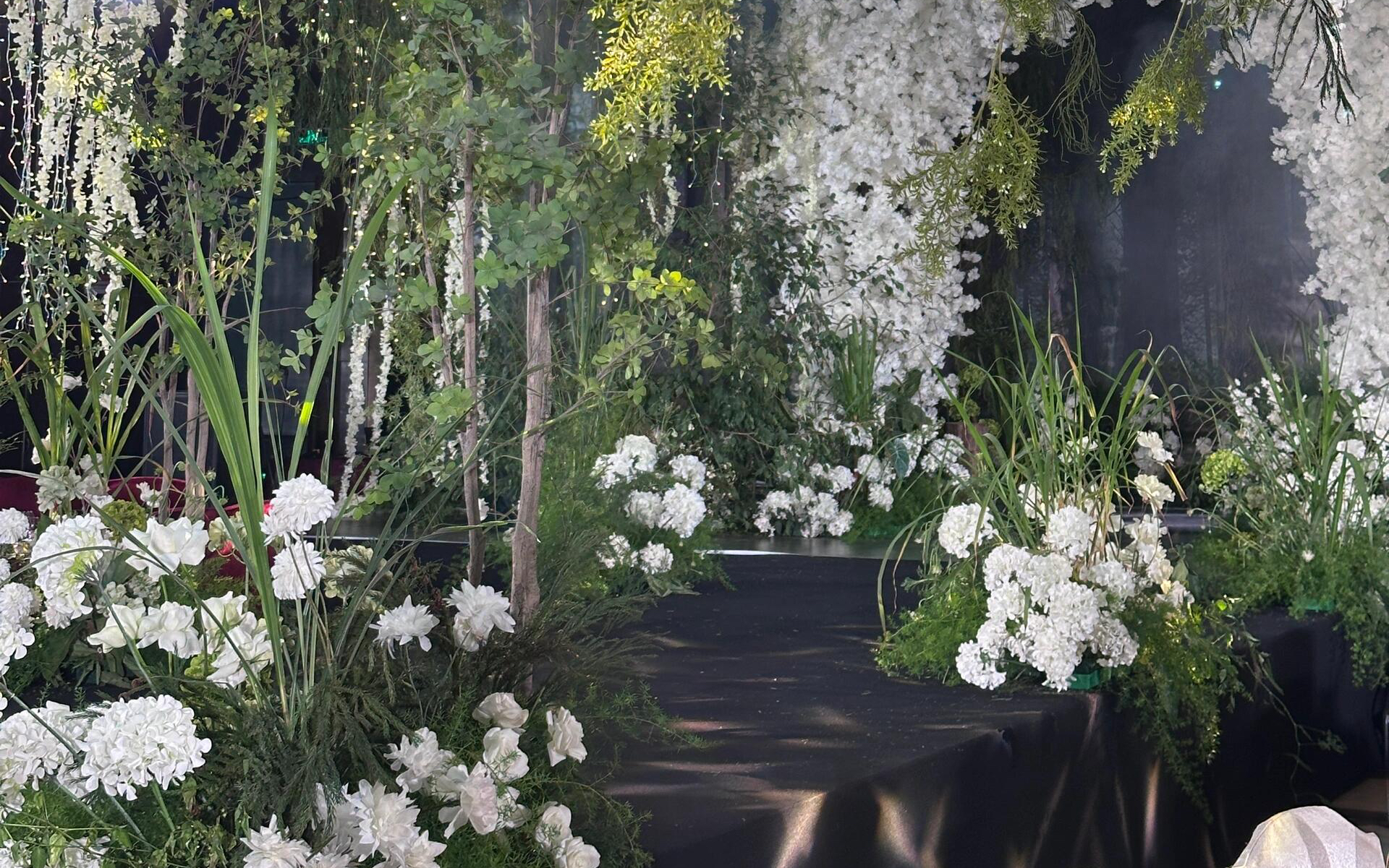 暮光映照的奇幻公主降临