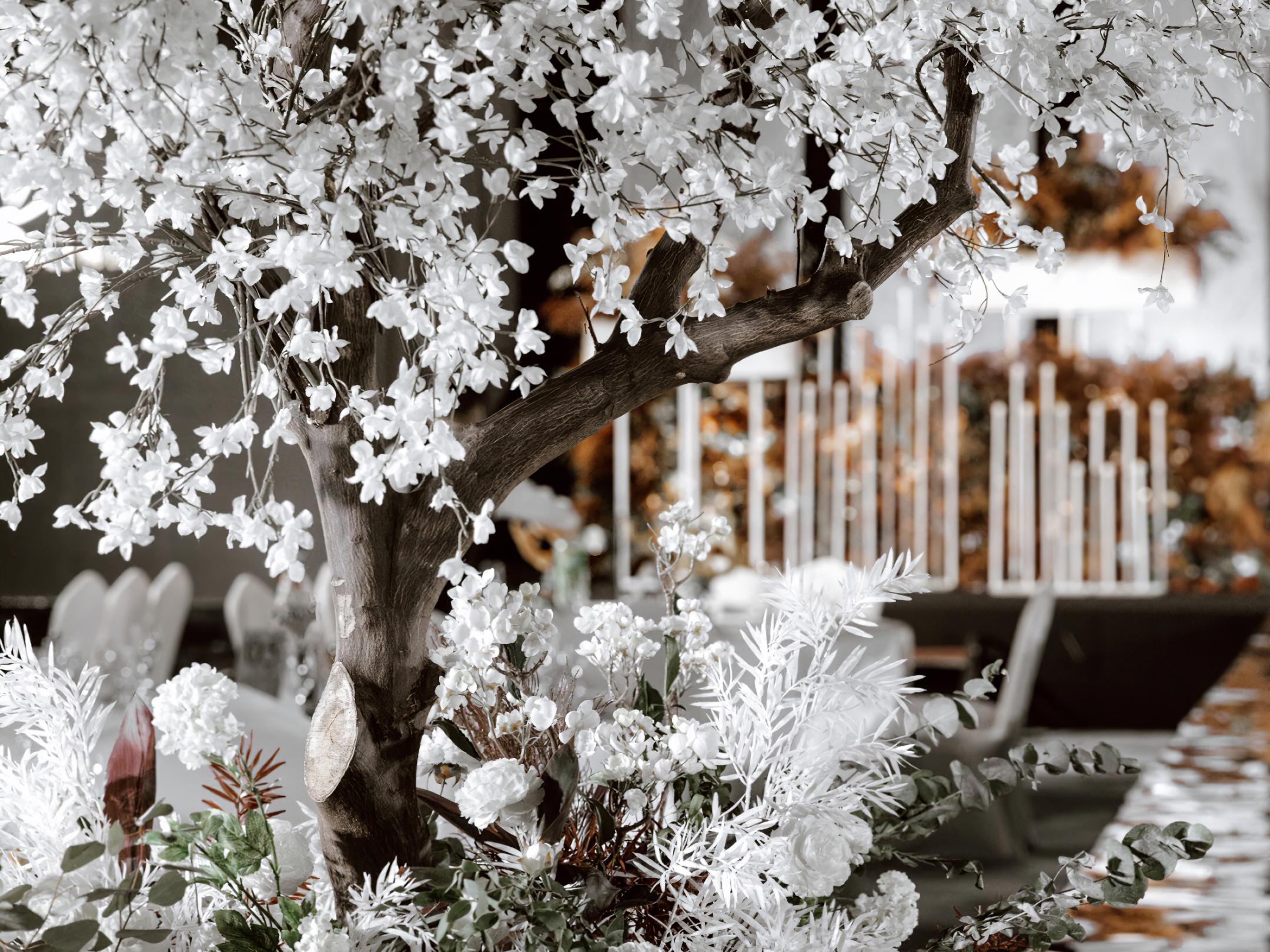 【拉菲婚礼】——高级感韩系婚礼限购活动进行中~~