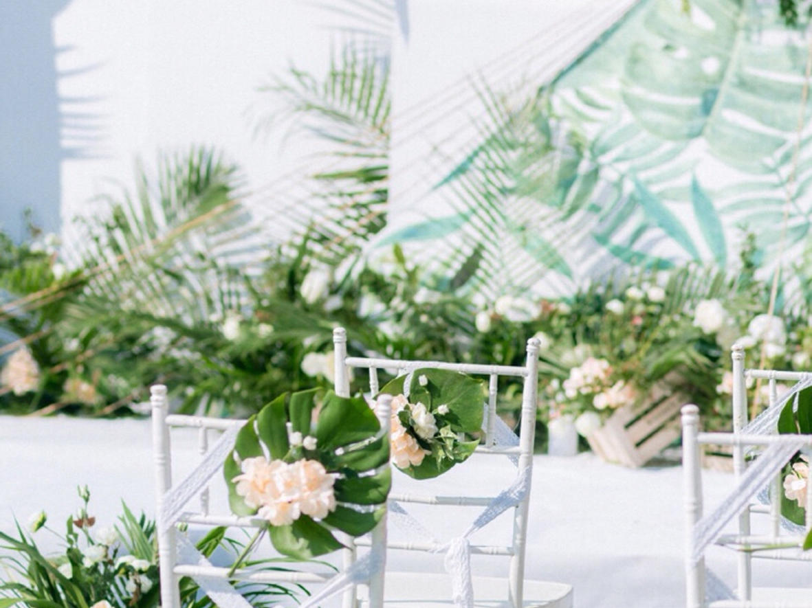 巴黎春天|遇 见|小清新