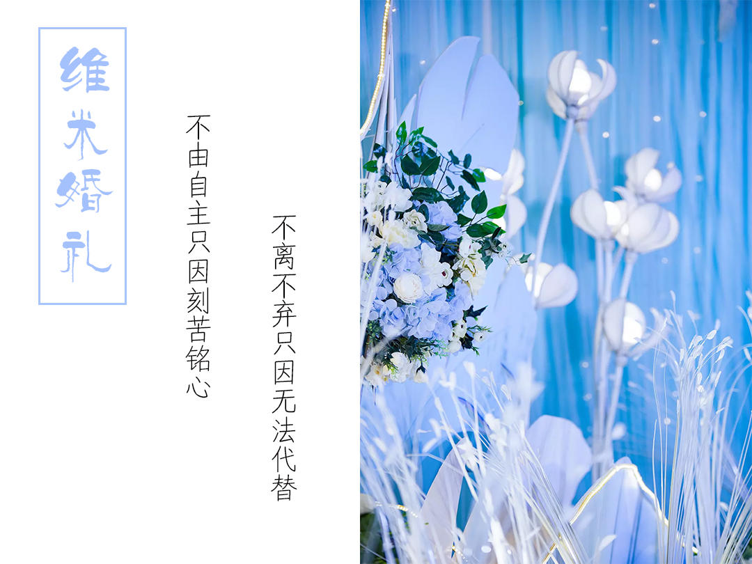 《维米婚礼》——蓝色梦幻系列