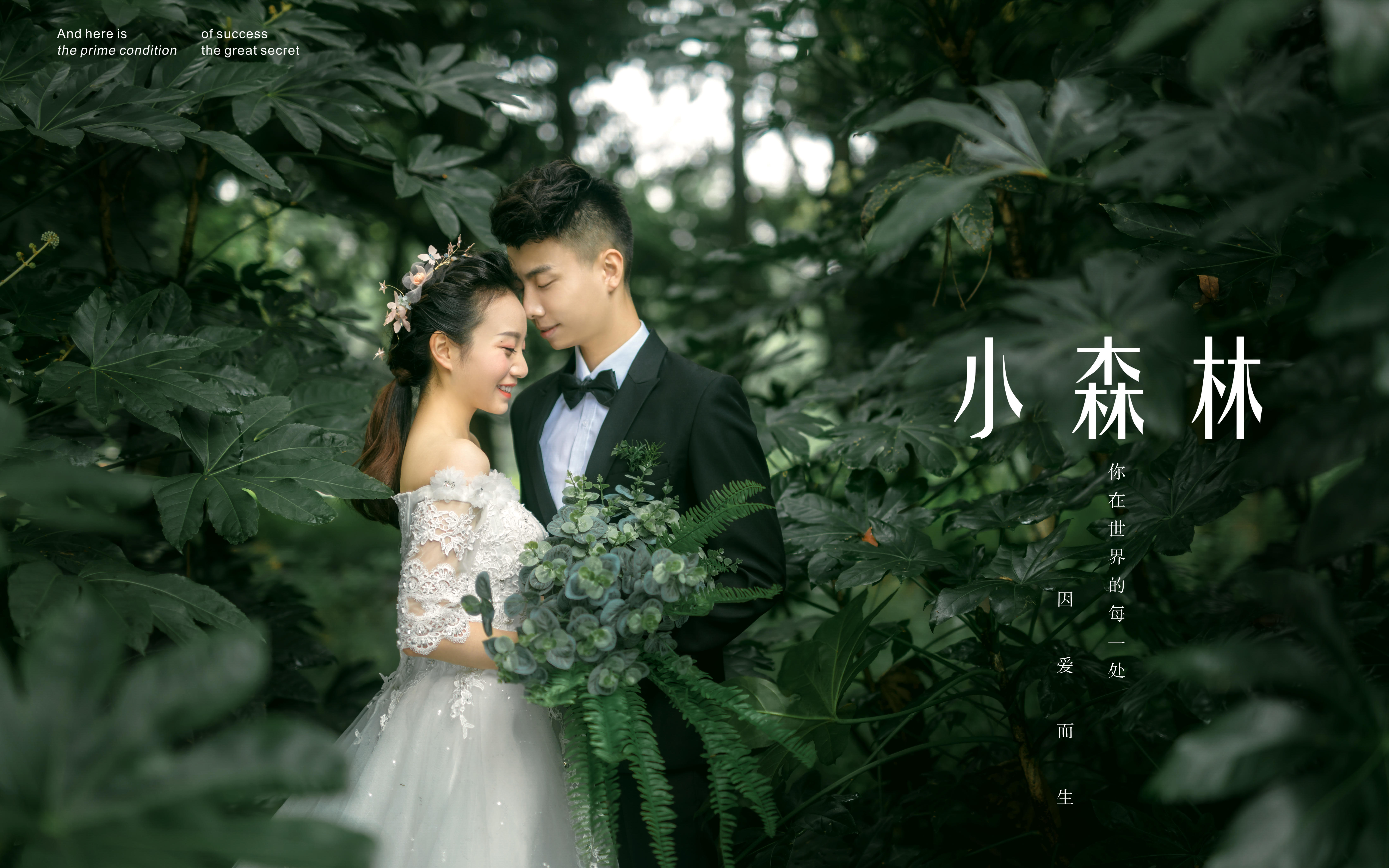 网红INS婚纱限量私人订制外景拍摄+内景风格任选