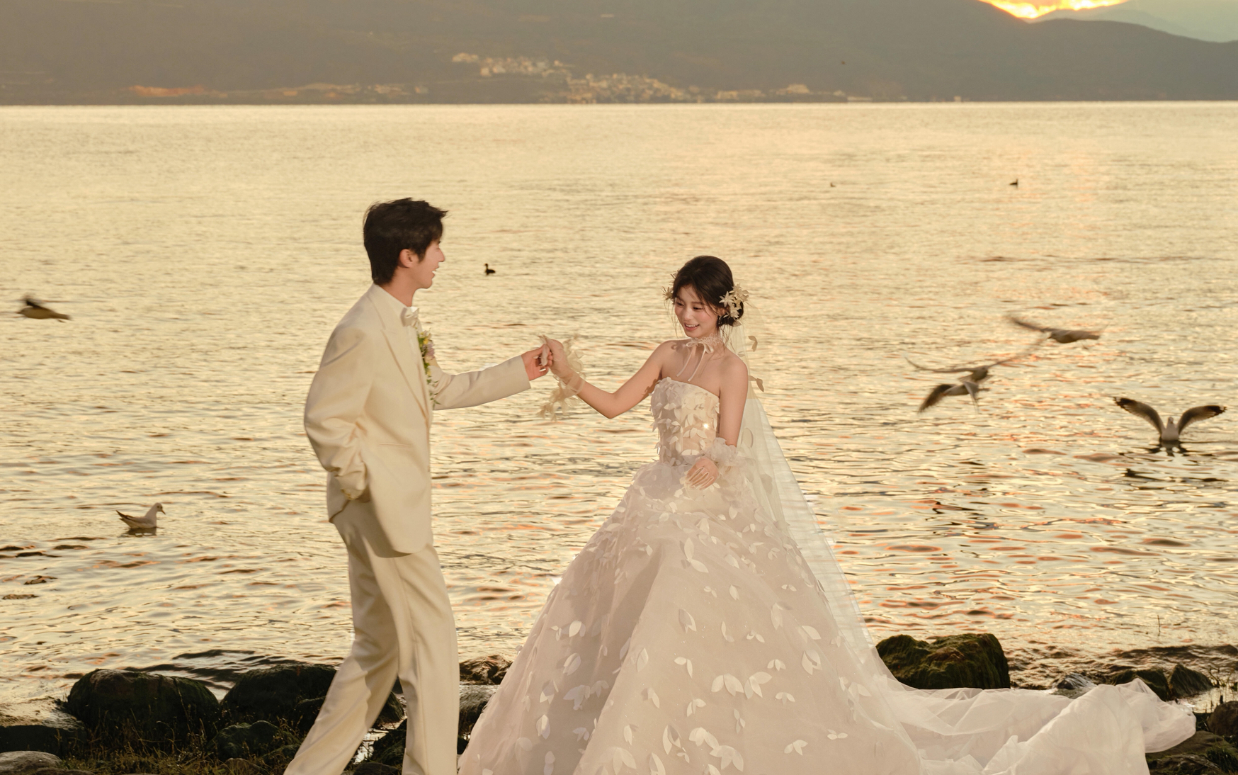 洱海的海鸥又一次如约而至