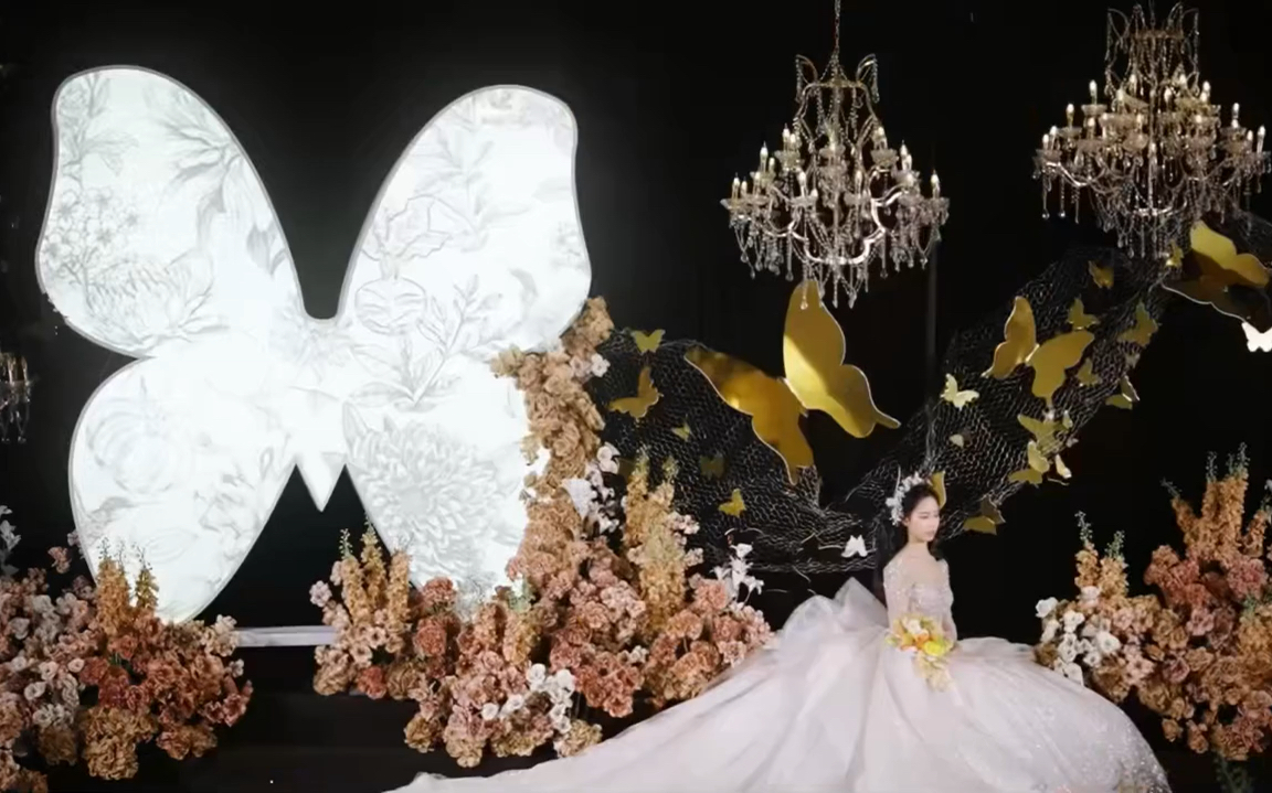 幸运翩跹，如蝶舞启运