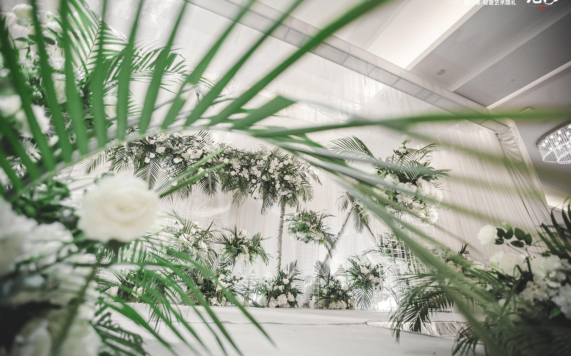 图兰朵•Pure love   