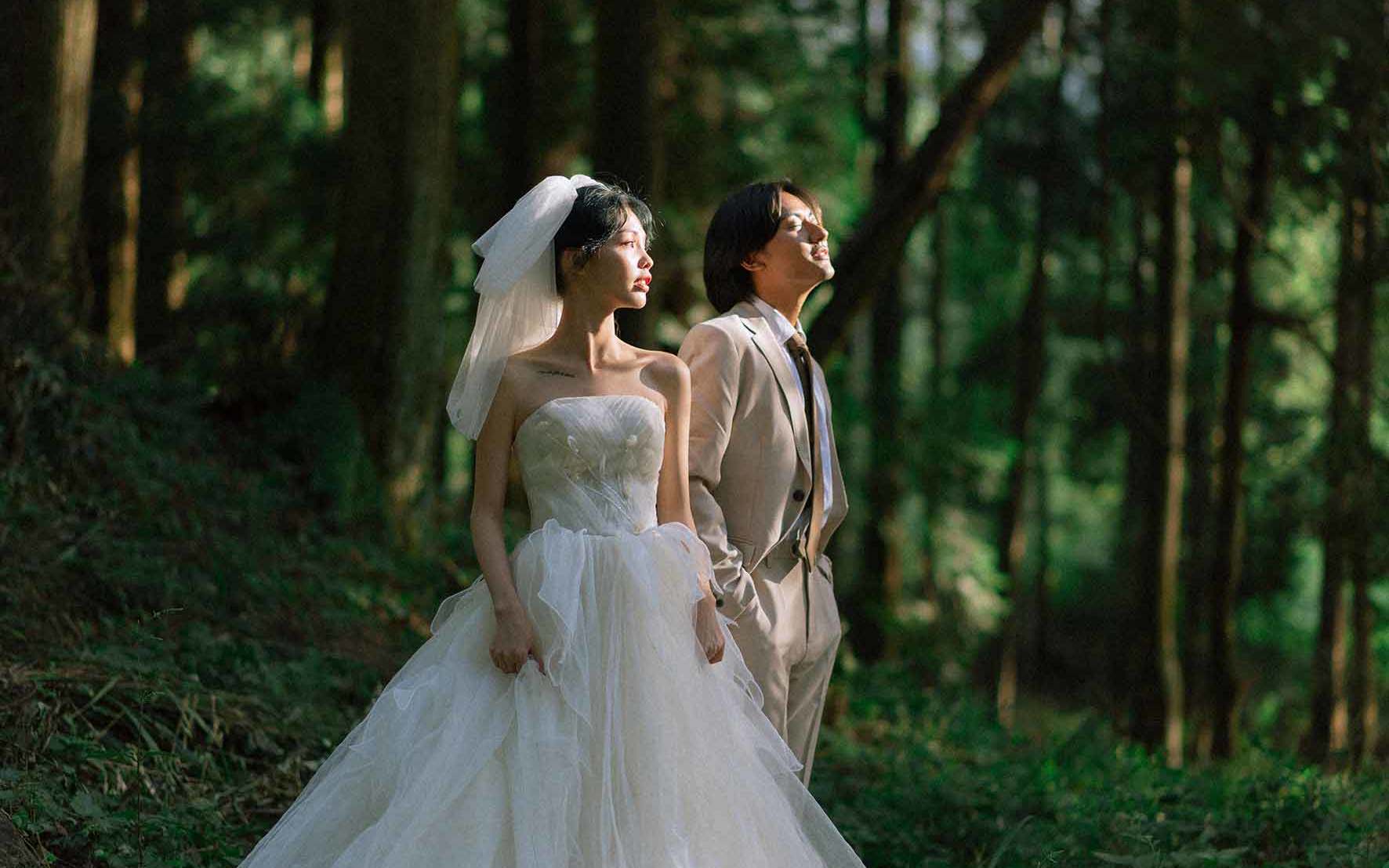 北岛视觉 / 森系小清新分享一波