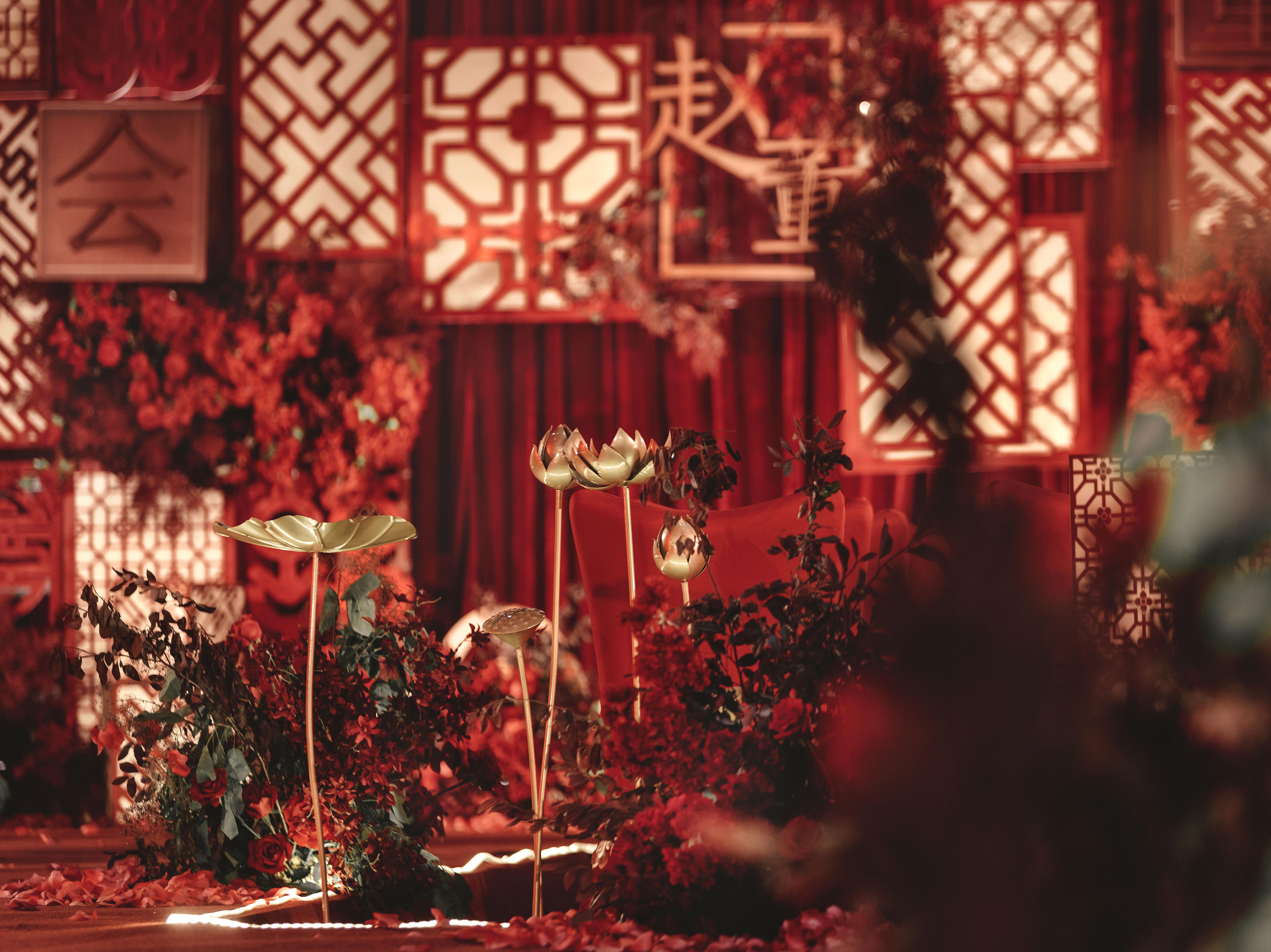 2020新品套餐限时半价预售