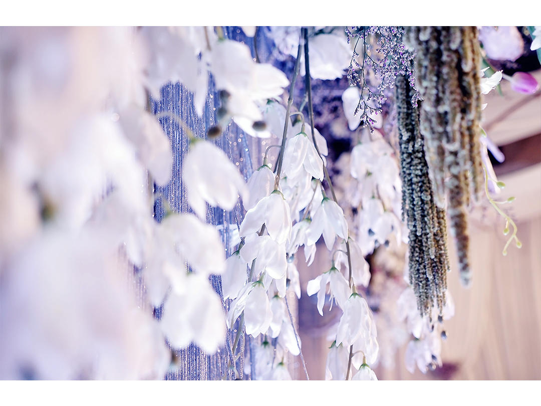 汇爱婚礼|仲夏夜之梦|紫色浪漫