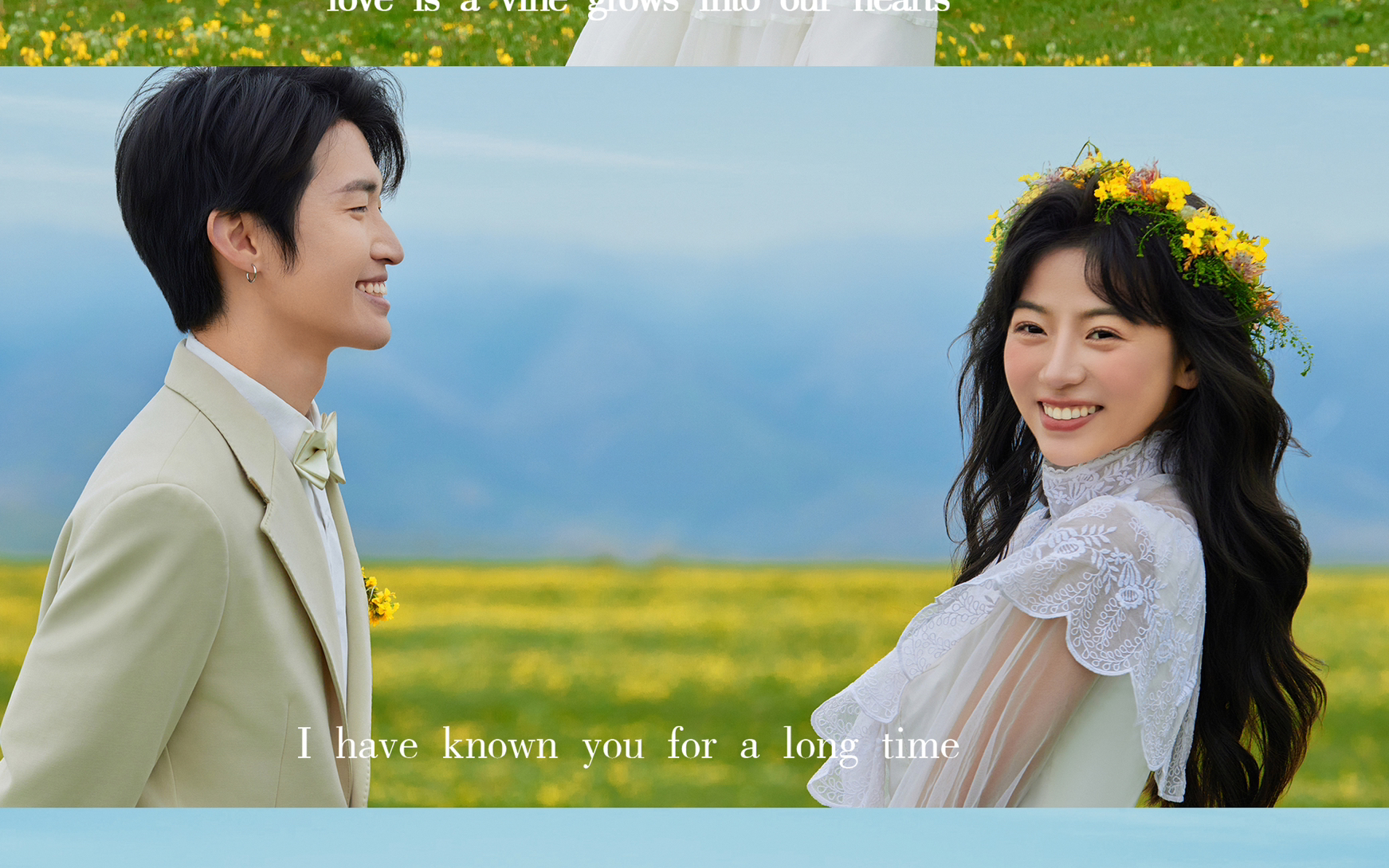 赛里木湖的草地