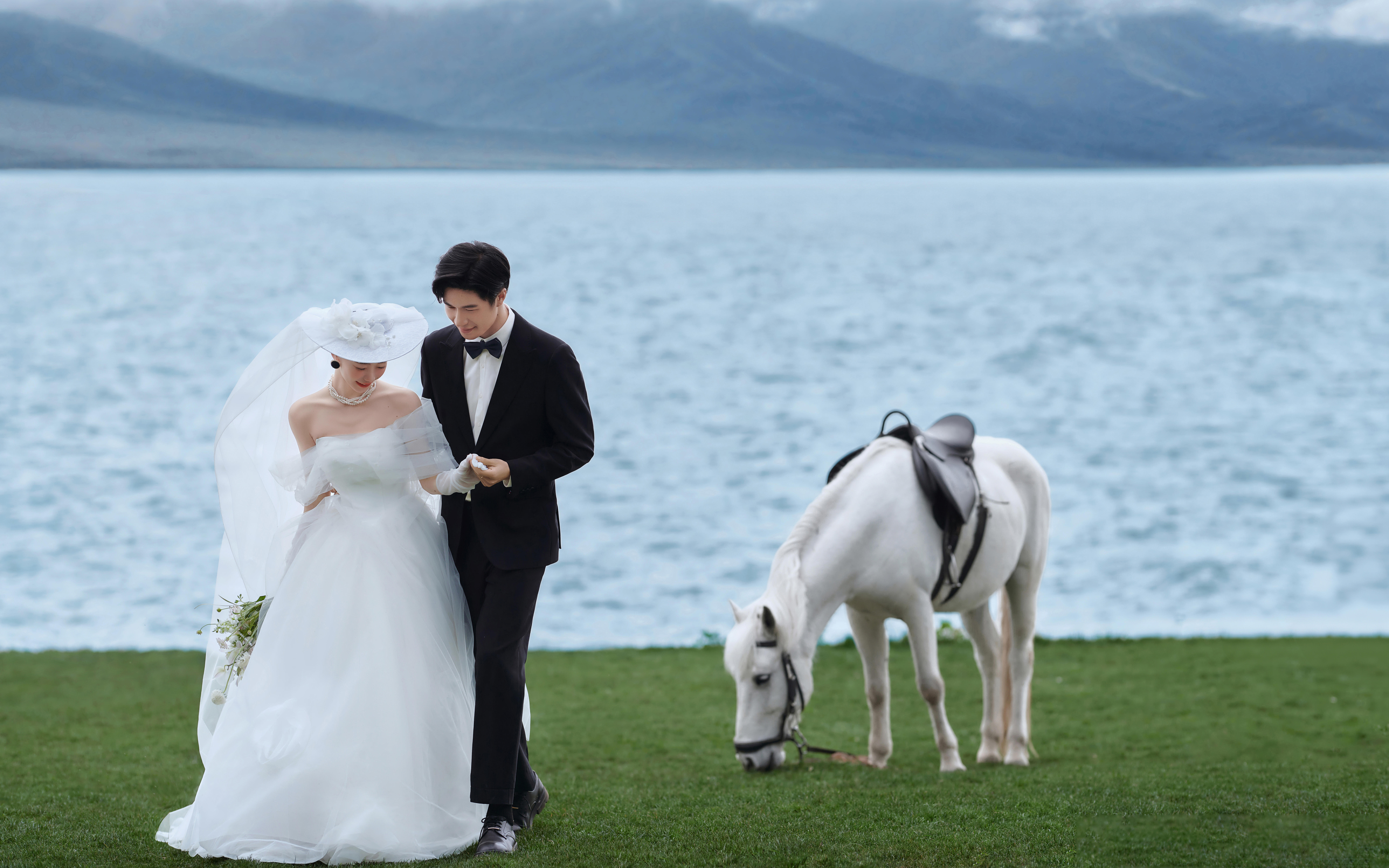 【法式印象】新风格太浪漫了叭✨雪山下的白马