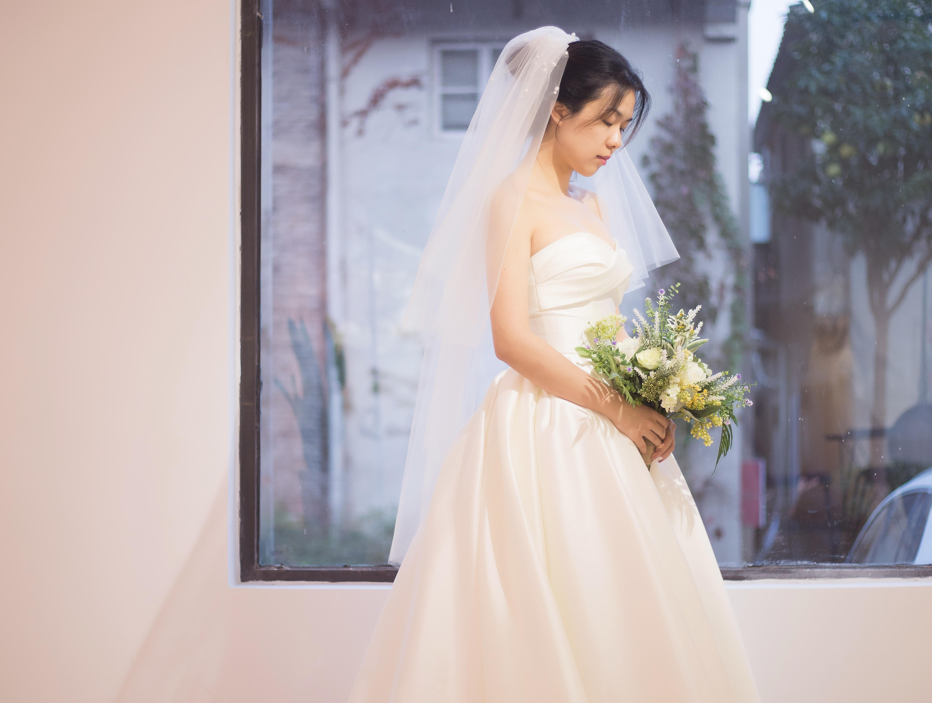 婚纱斜纹_斜纹夜蛾(2)