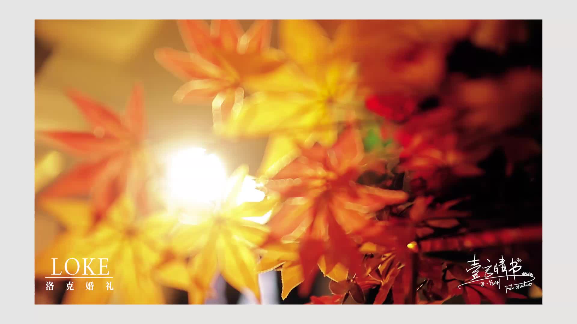 【LOKE洛克婚礼】秋季系列之翩翩起舞