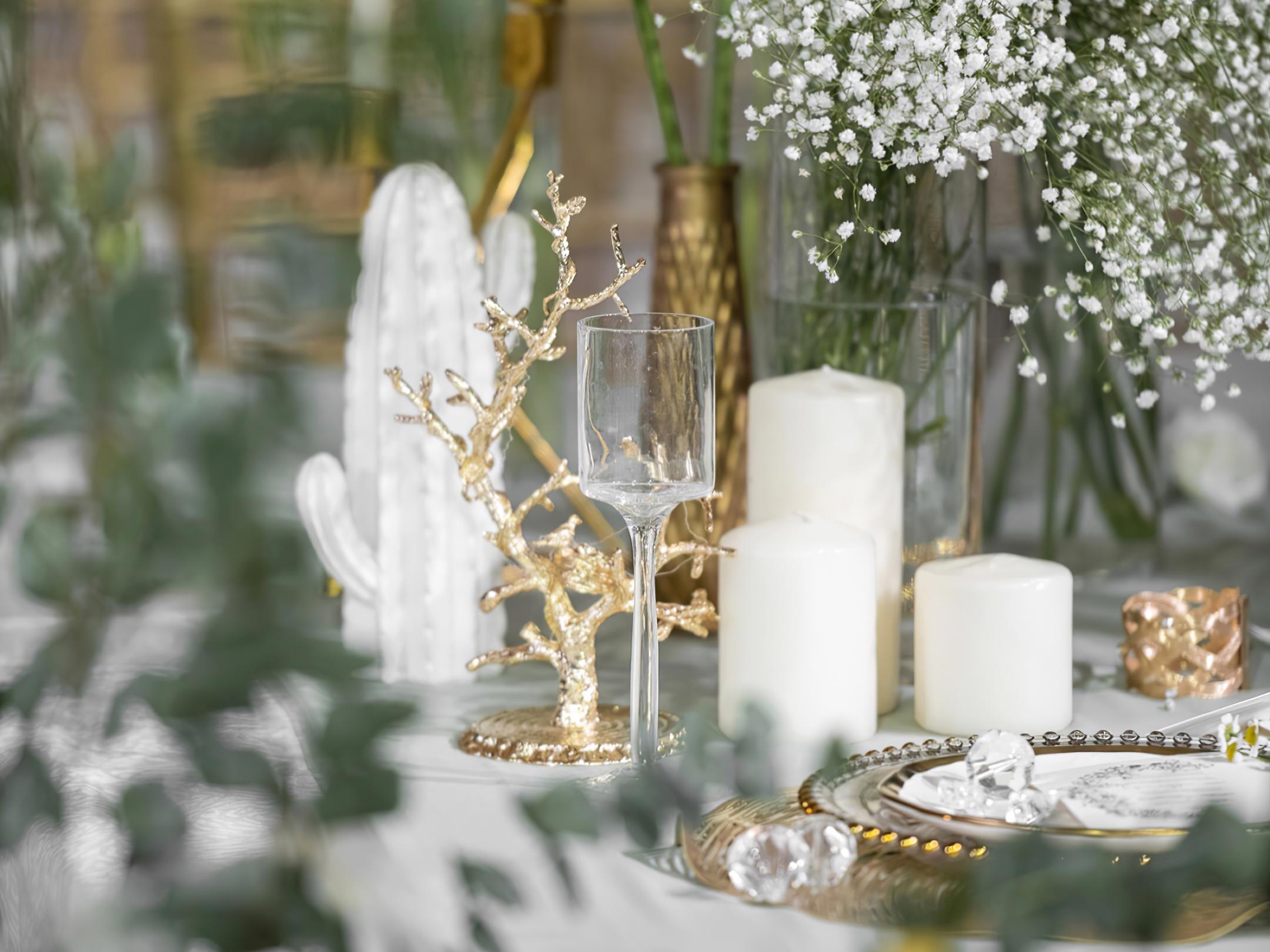 【爆款白绿清新】全真绿植+全程跟踪服务