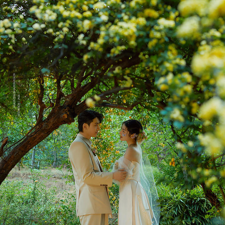 丽江样片丨MY DESTINY