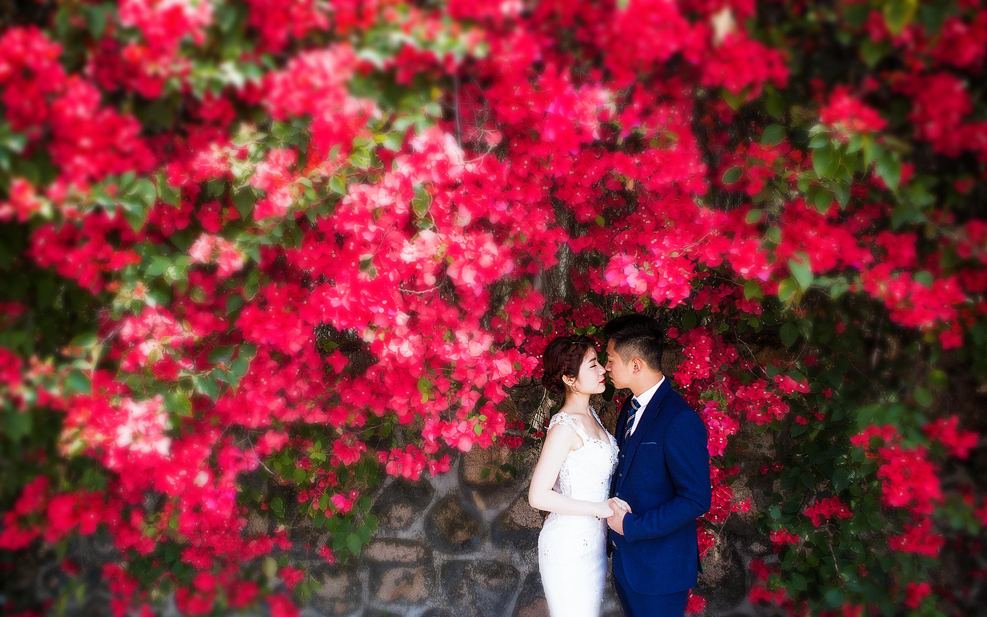 【高端定制系列】創(chuàng)作攝影團隊|2天定制拍攝