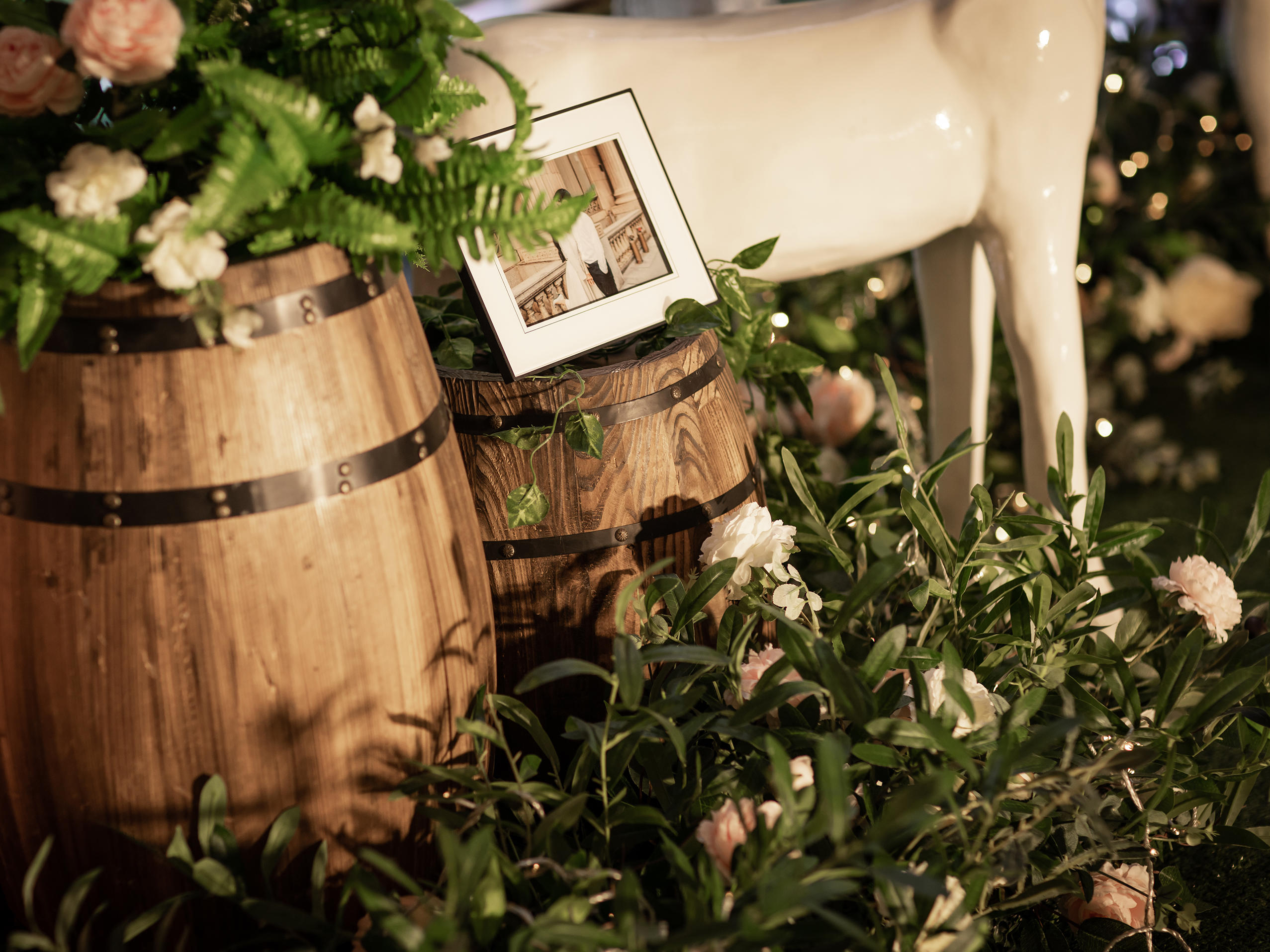 9999森系（含四大金钢）