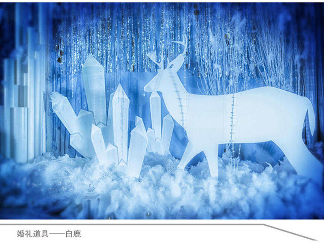 她他婚典   冰雪奇缘专场