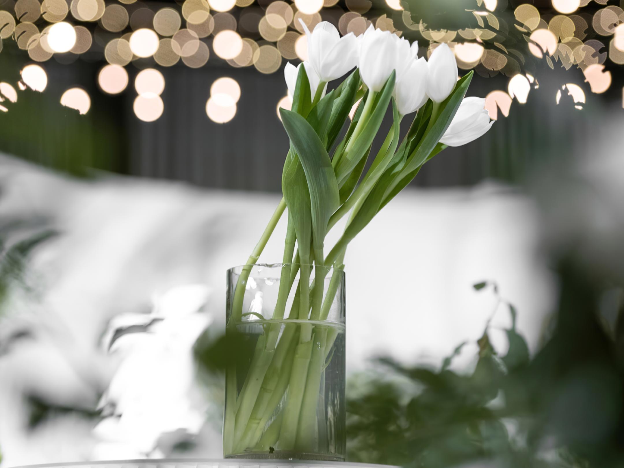 【爆款白绿清新】全真绿植+全程跟踪服务