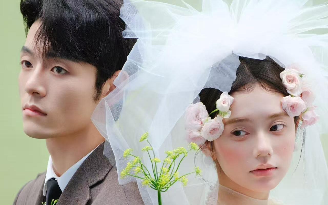 小众韩式头纱婚纱照