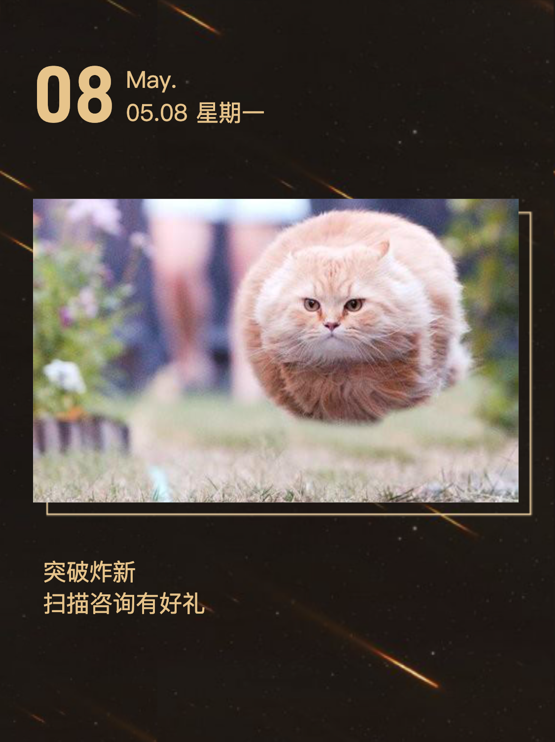 测试作品