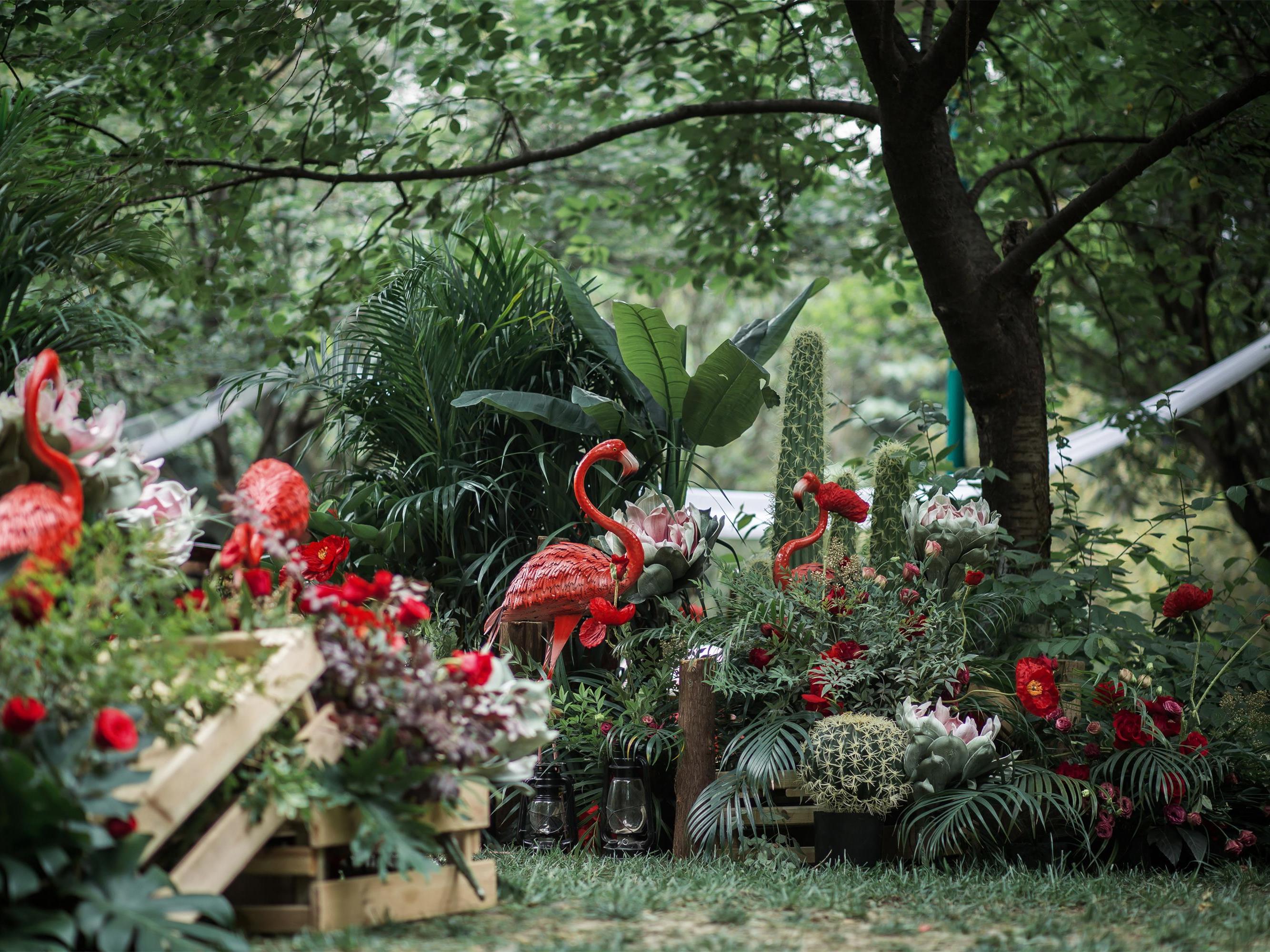 【白头吟】红绿色森系婚礼