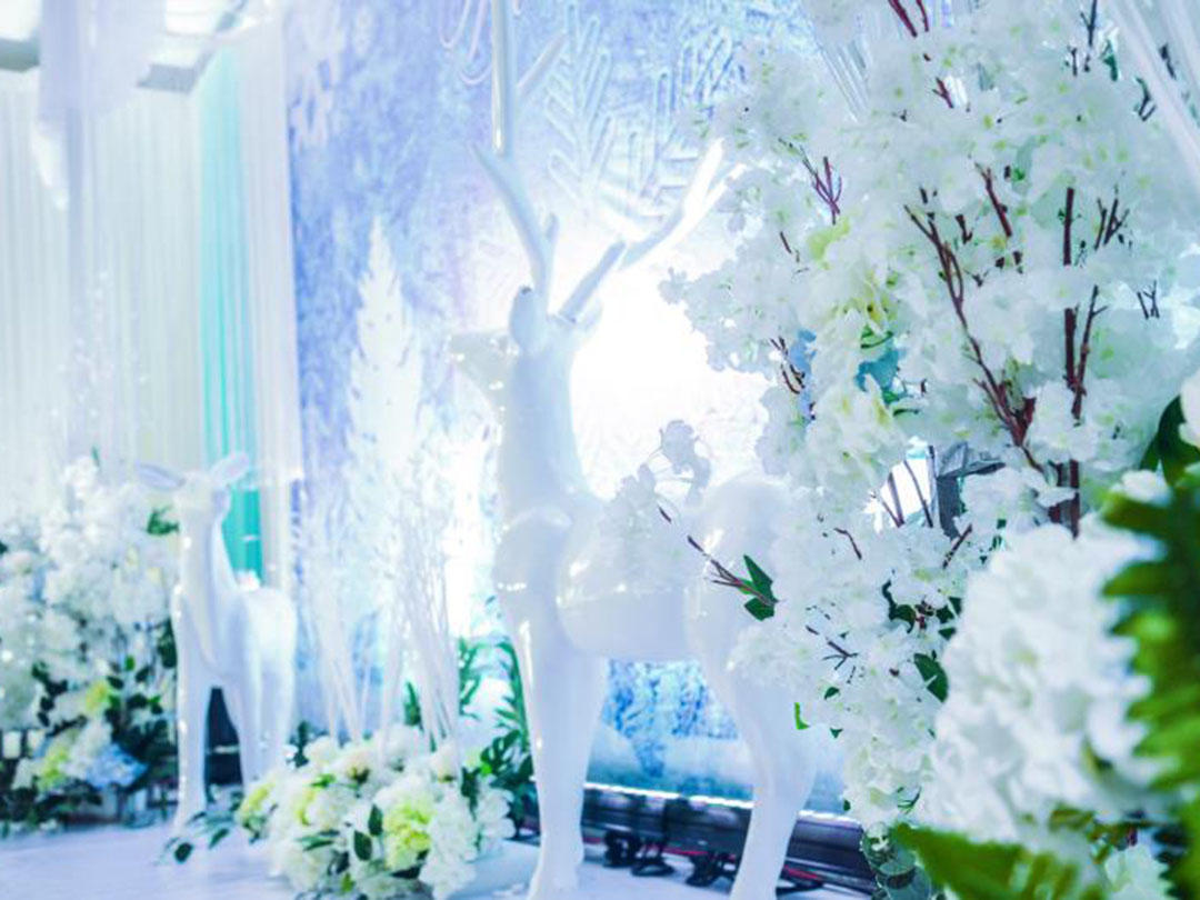 蓝色冰雪主题婚礼，浪漫主题婚礼送主持，摄像，跟妆
