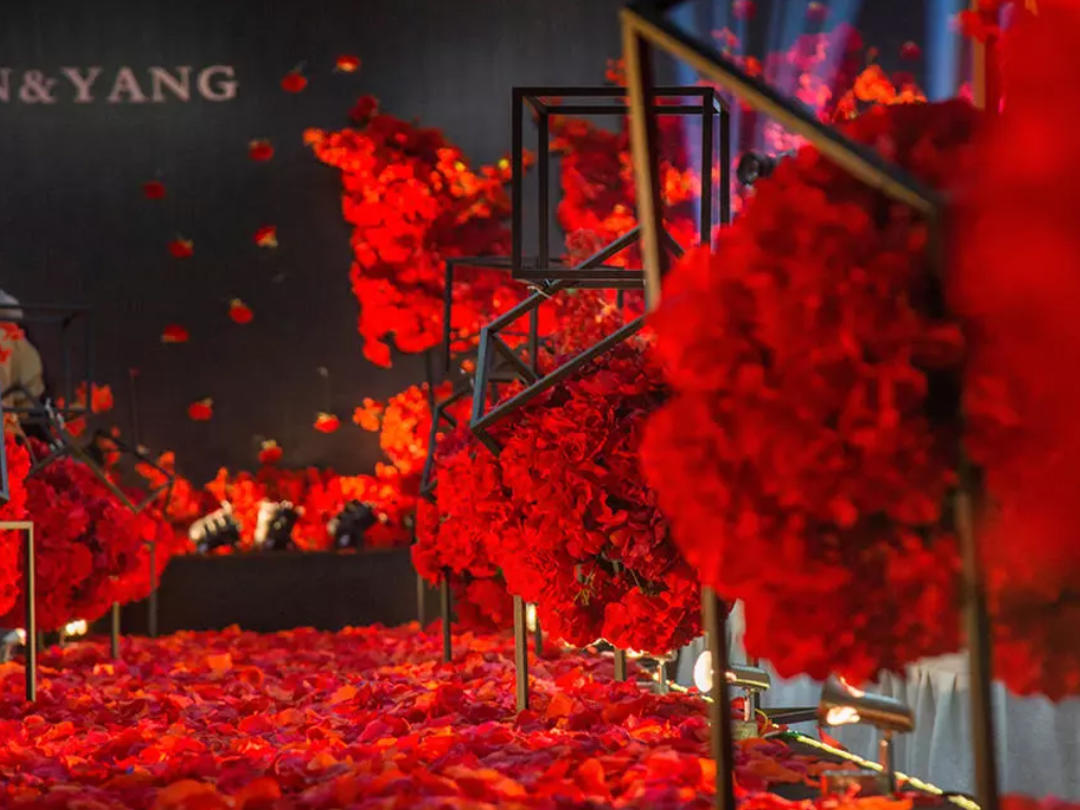 《维米婚礼》——红色大气系列