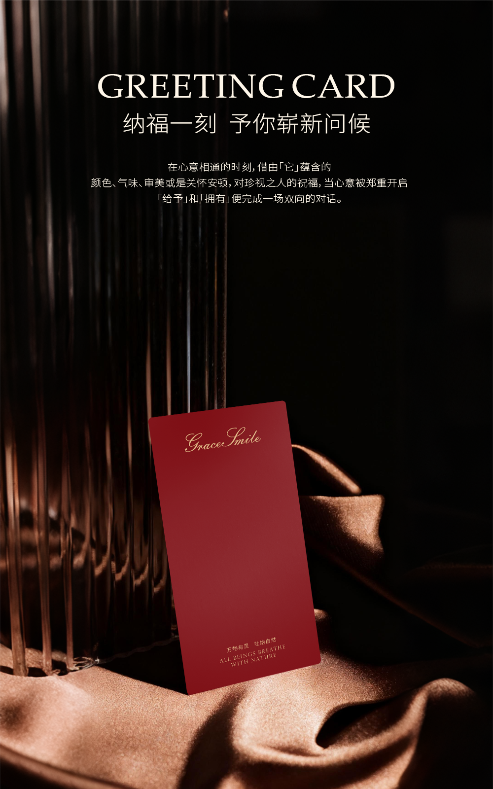 维笑灵芝护龈纯净牙膏（日日微笑）