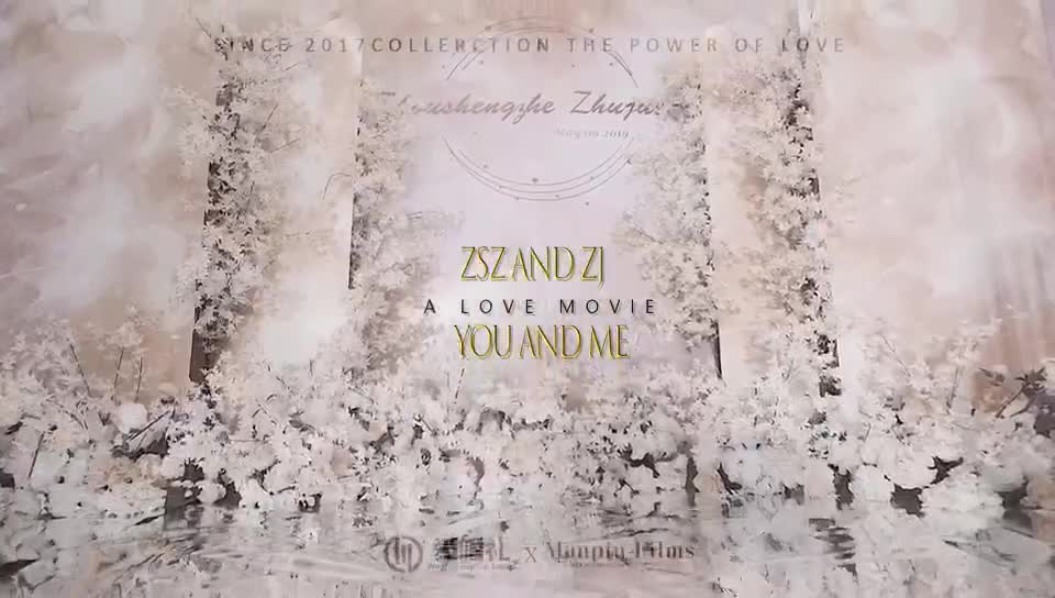 爱婚礼/高端香槟色私人订制