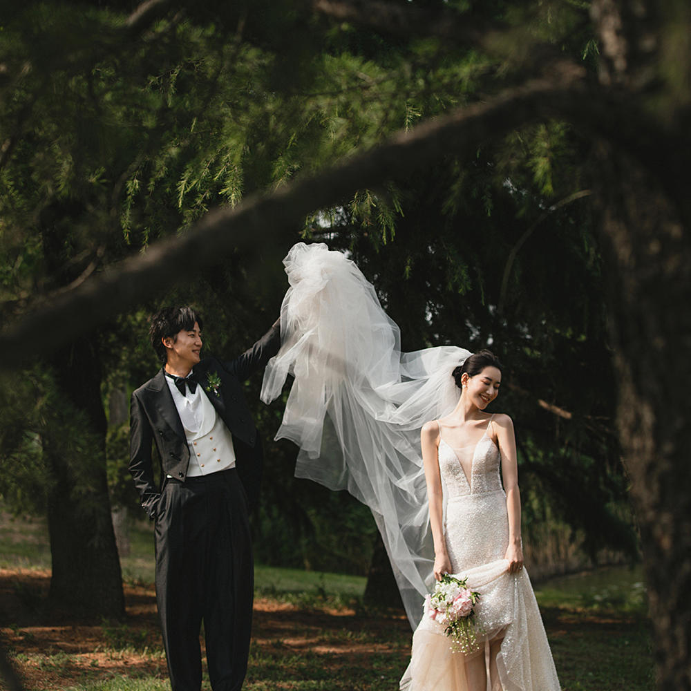 北岛视觉 / 森系婚纱照