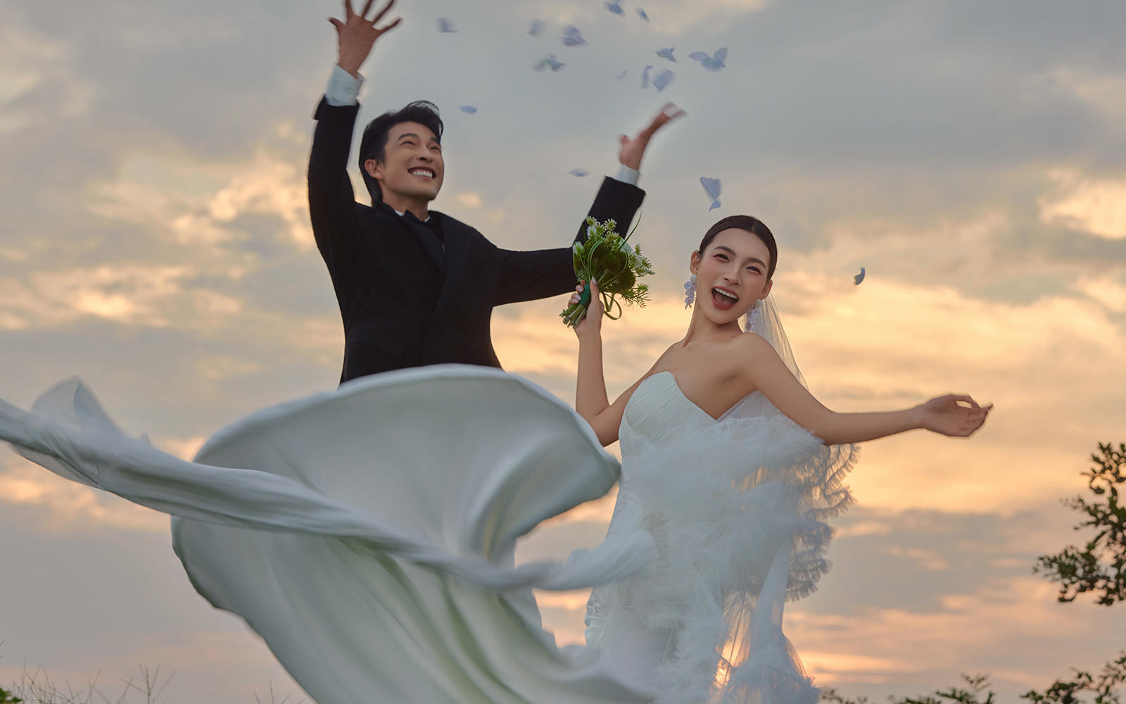 山野—【云之巅】系列