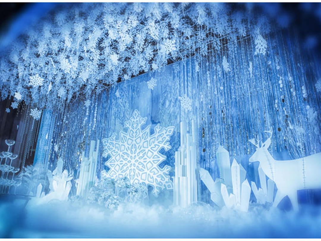 她他婚典   冰雪奇缘专场