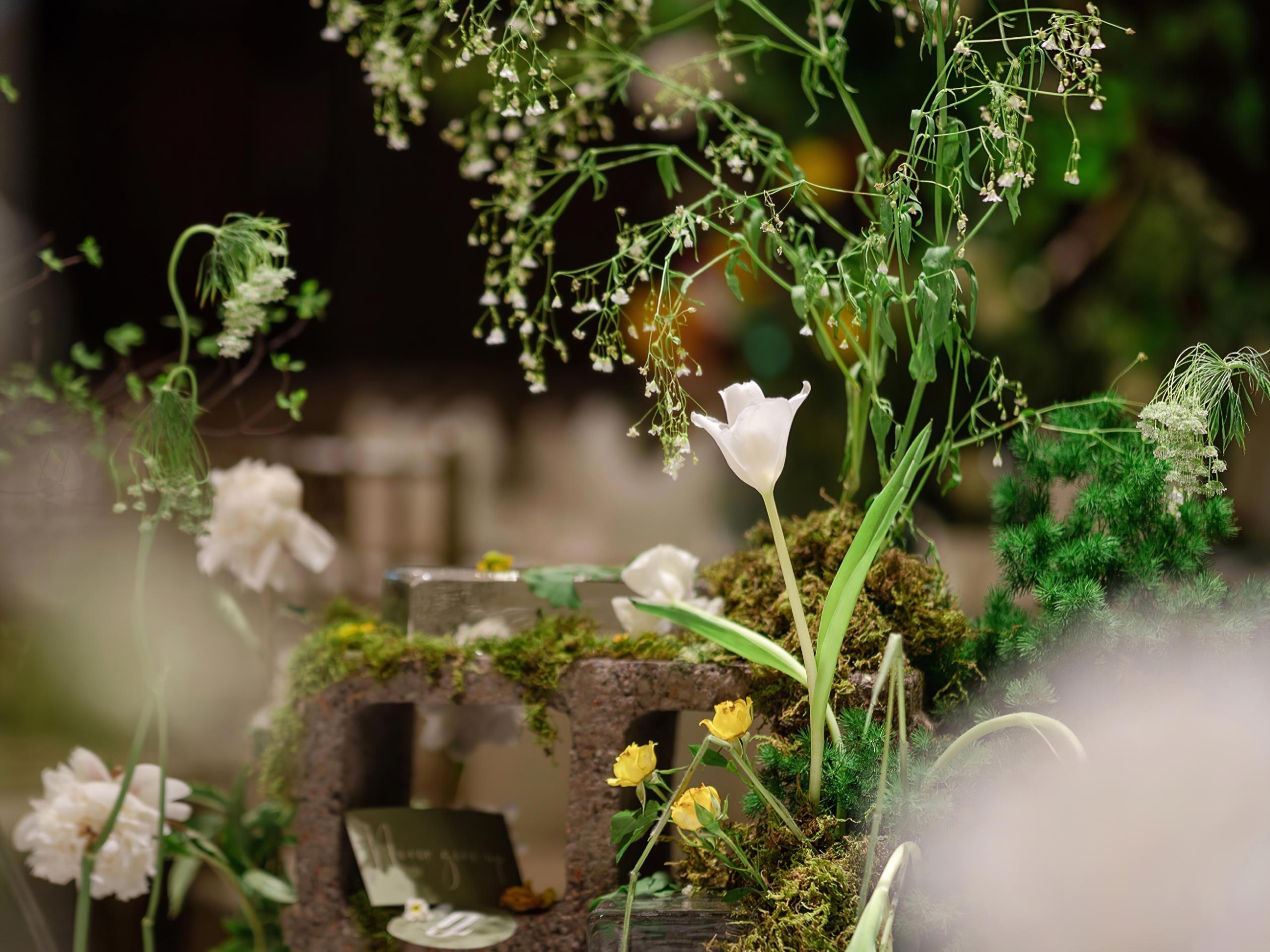 【屿霖婚策】绿色系全鲜花简约风婚礼