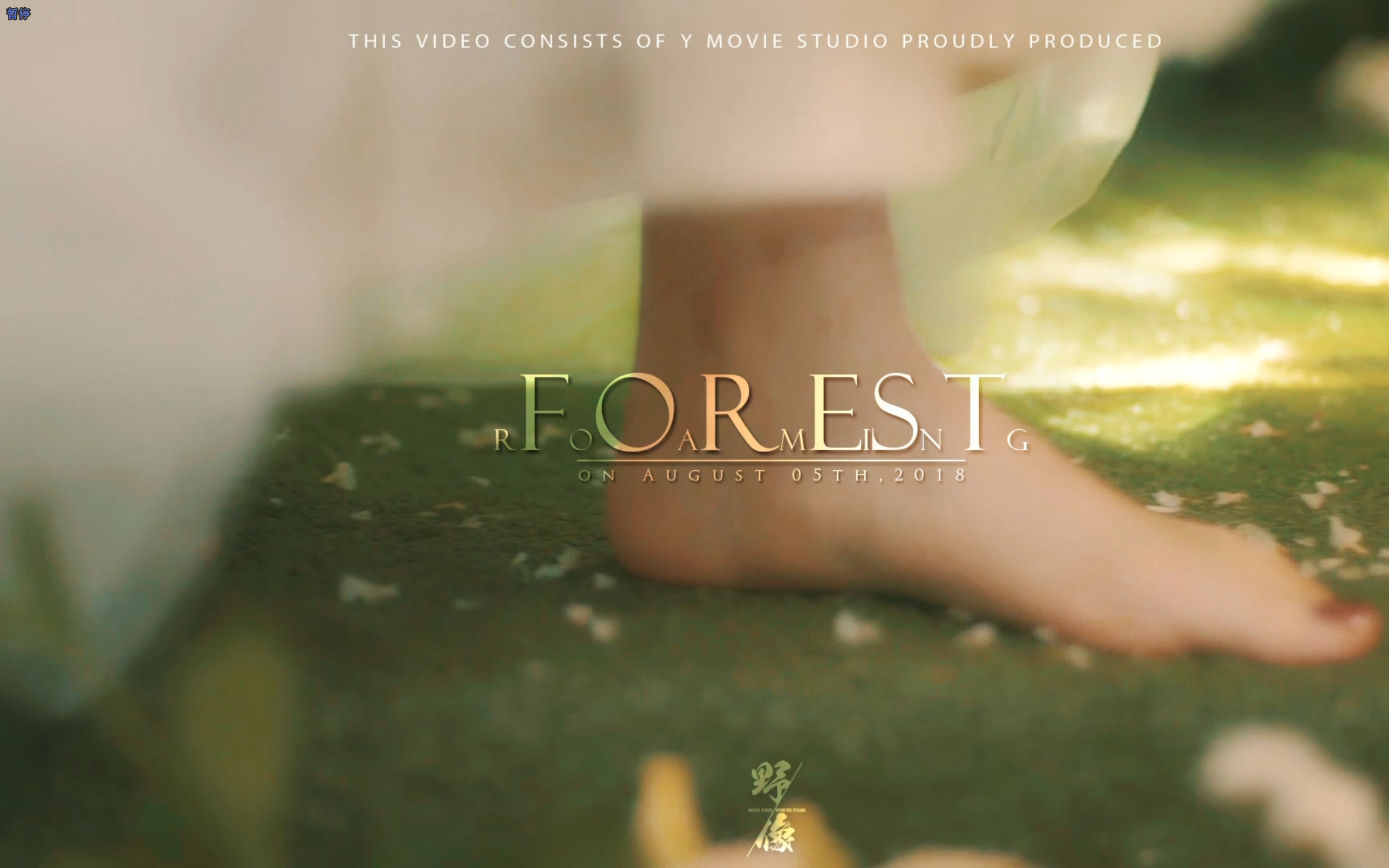 【野像影视】 出品 林深时见鹿/梦醒时见你