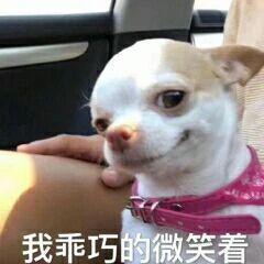 null测试邀请