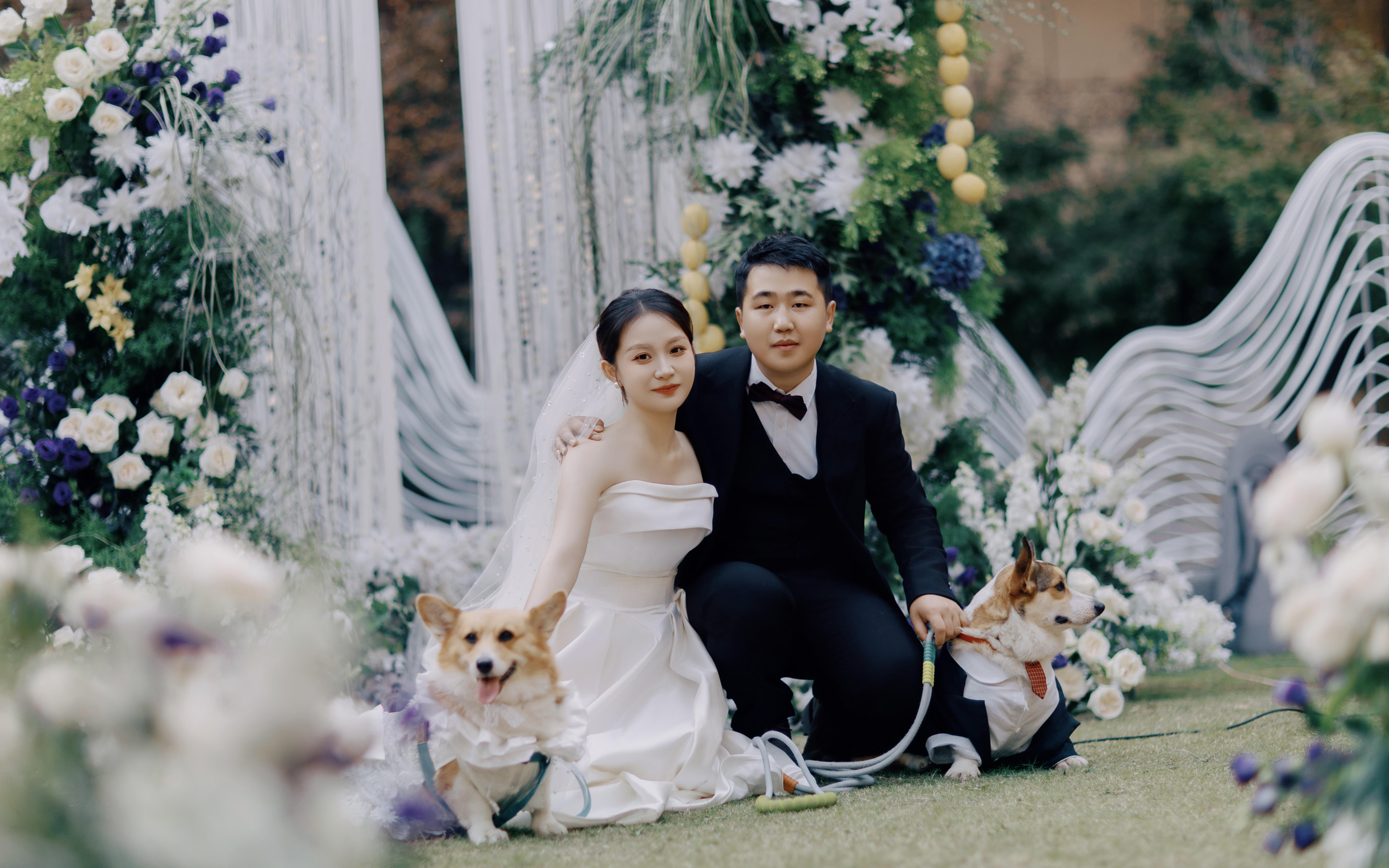 半鲜花韩式草坪户外婚礼