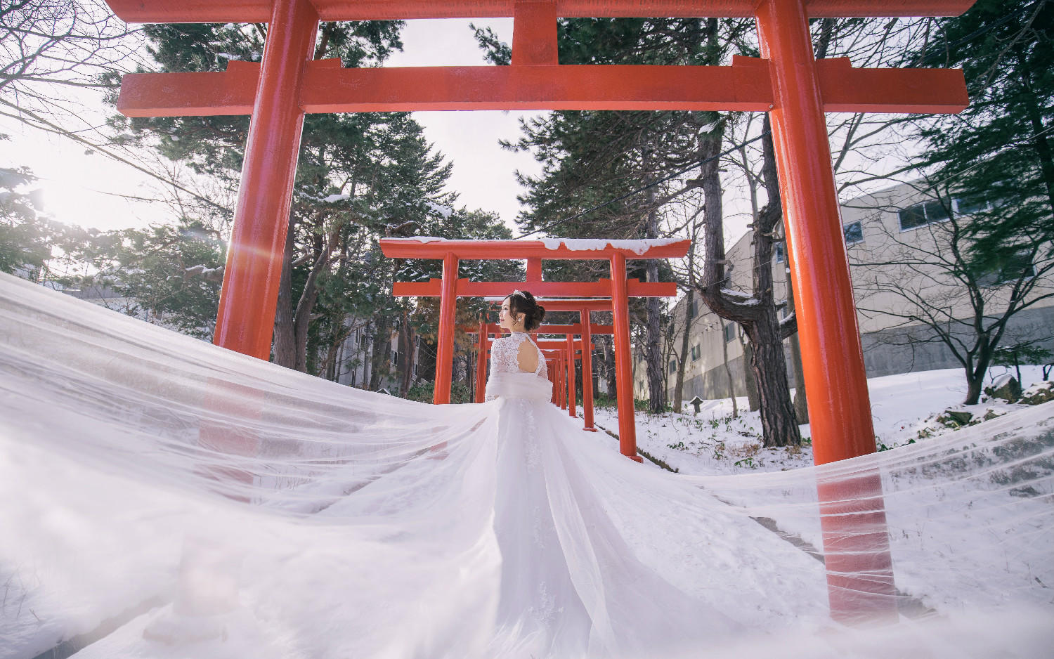 【预约立减1000元】北海道雪国旅拍客照