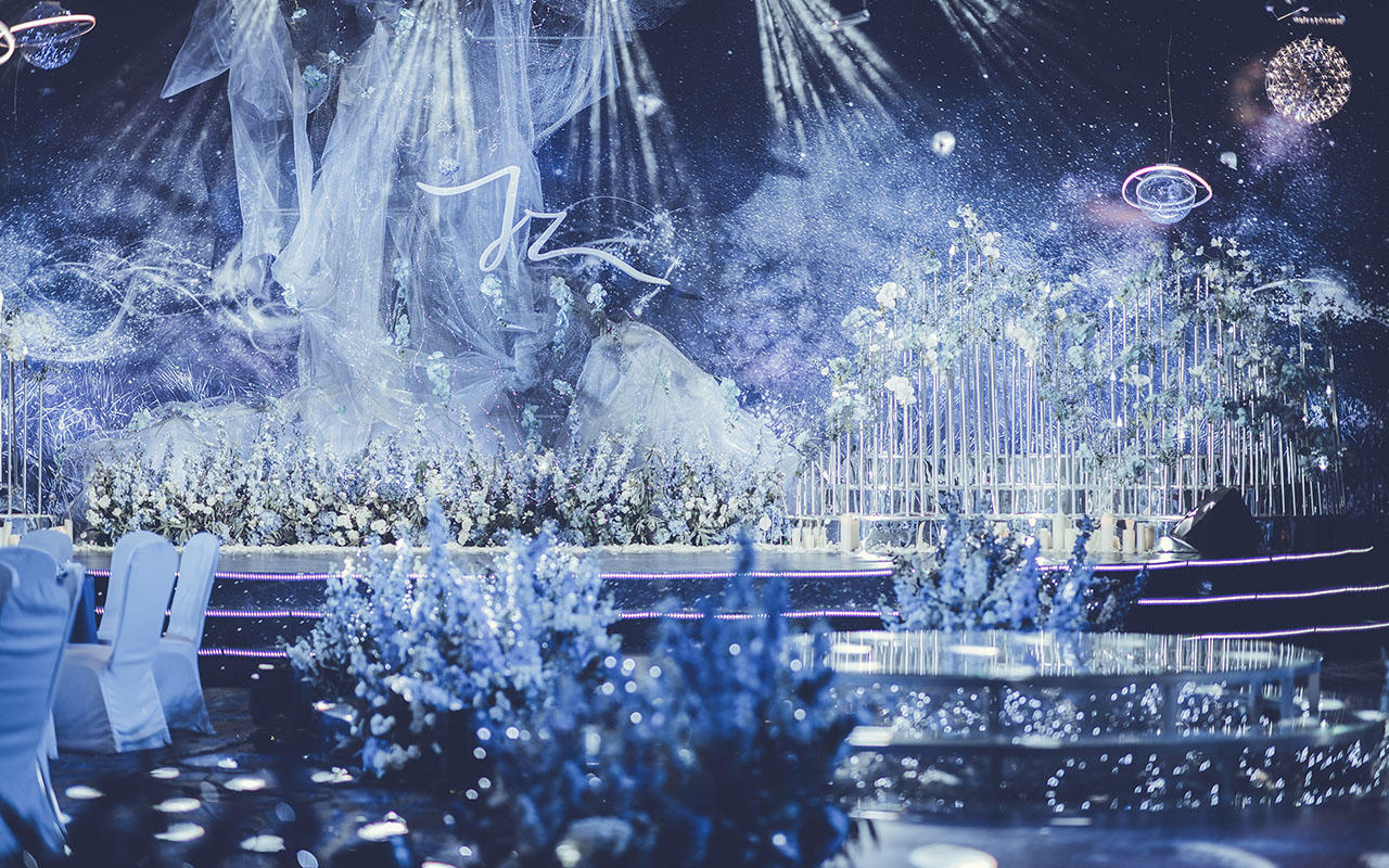 《梦幻星际》铂尔曼星空婚礼