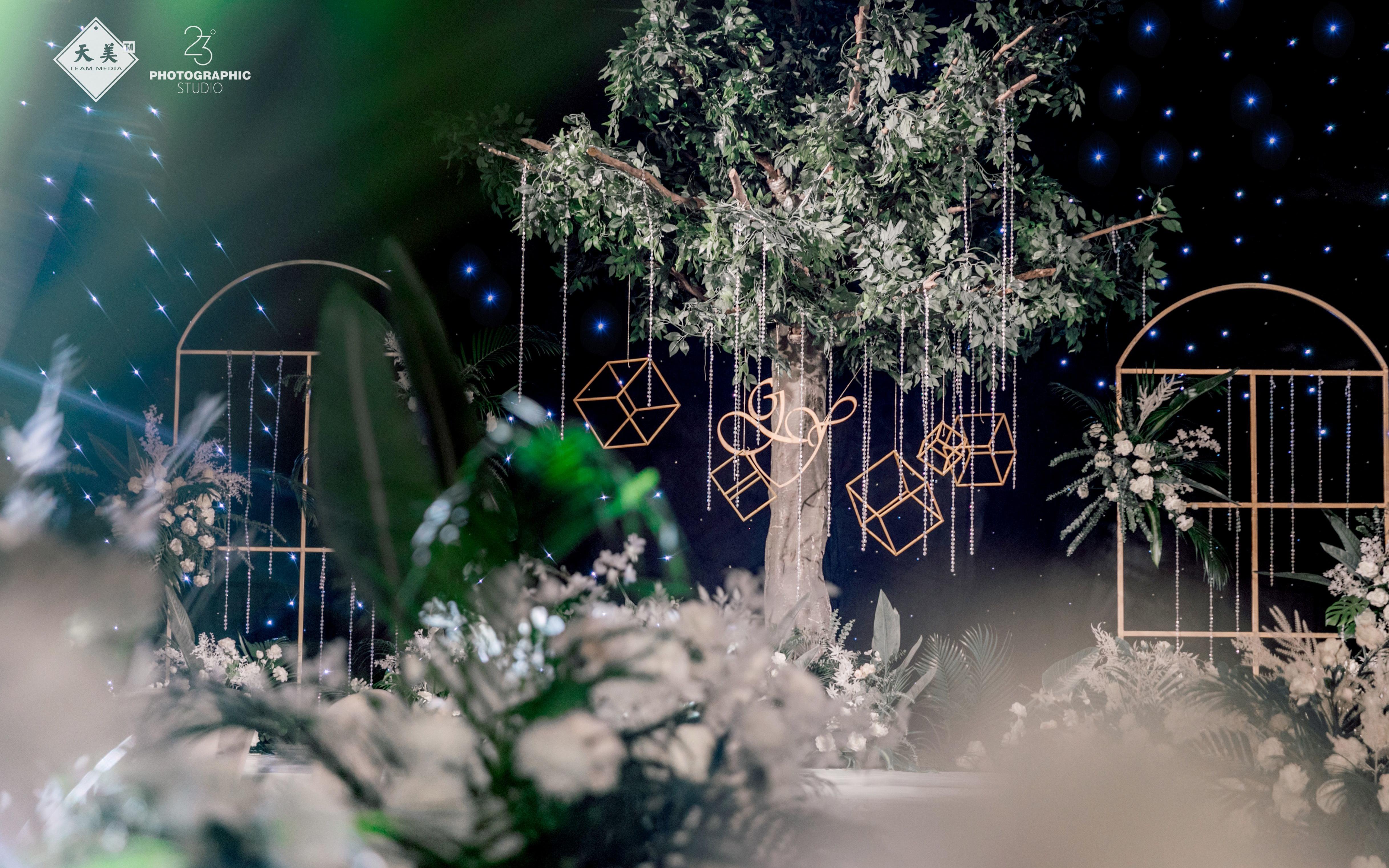 ----初晨星光----