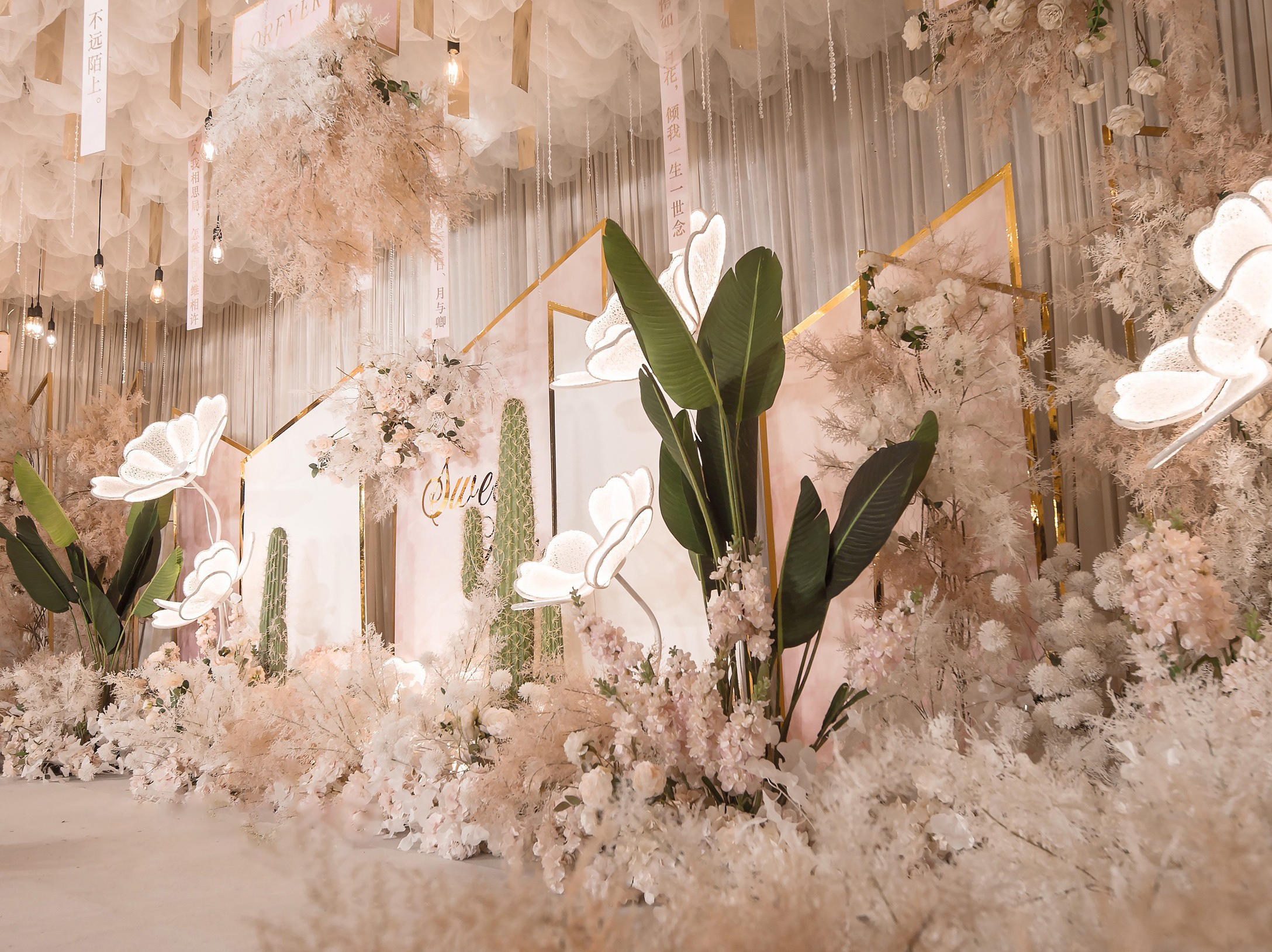 一站式线上优选护航/赠四大金刚/主持人线上选