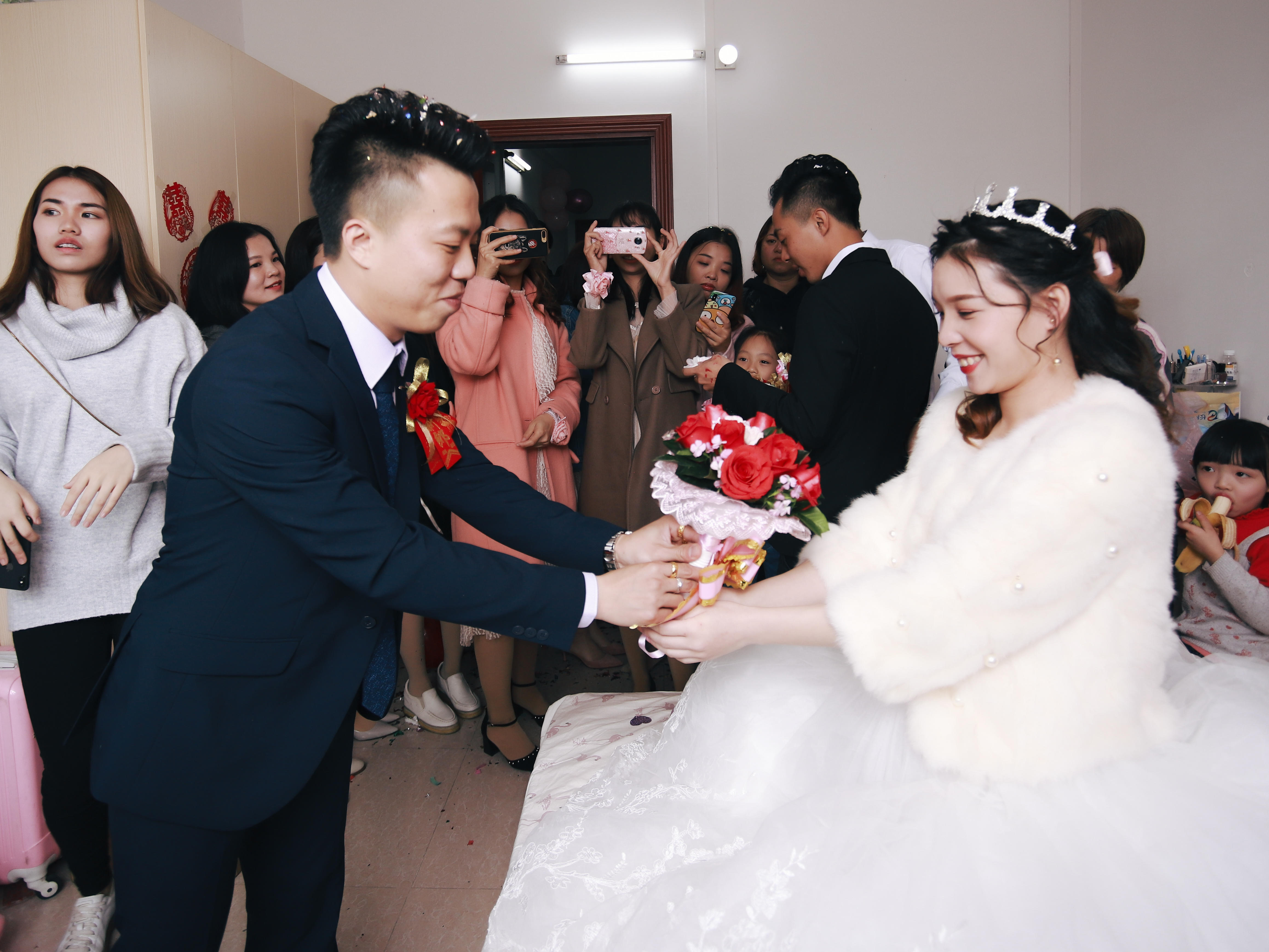 【人气爆款】三大金刚+即影即有送梦幻布置