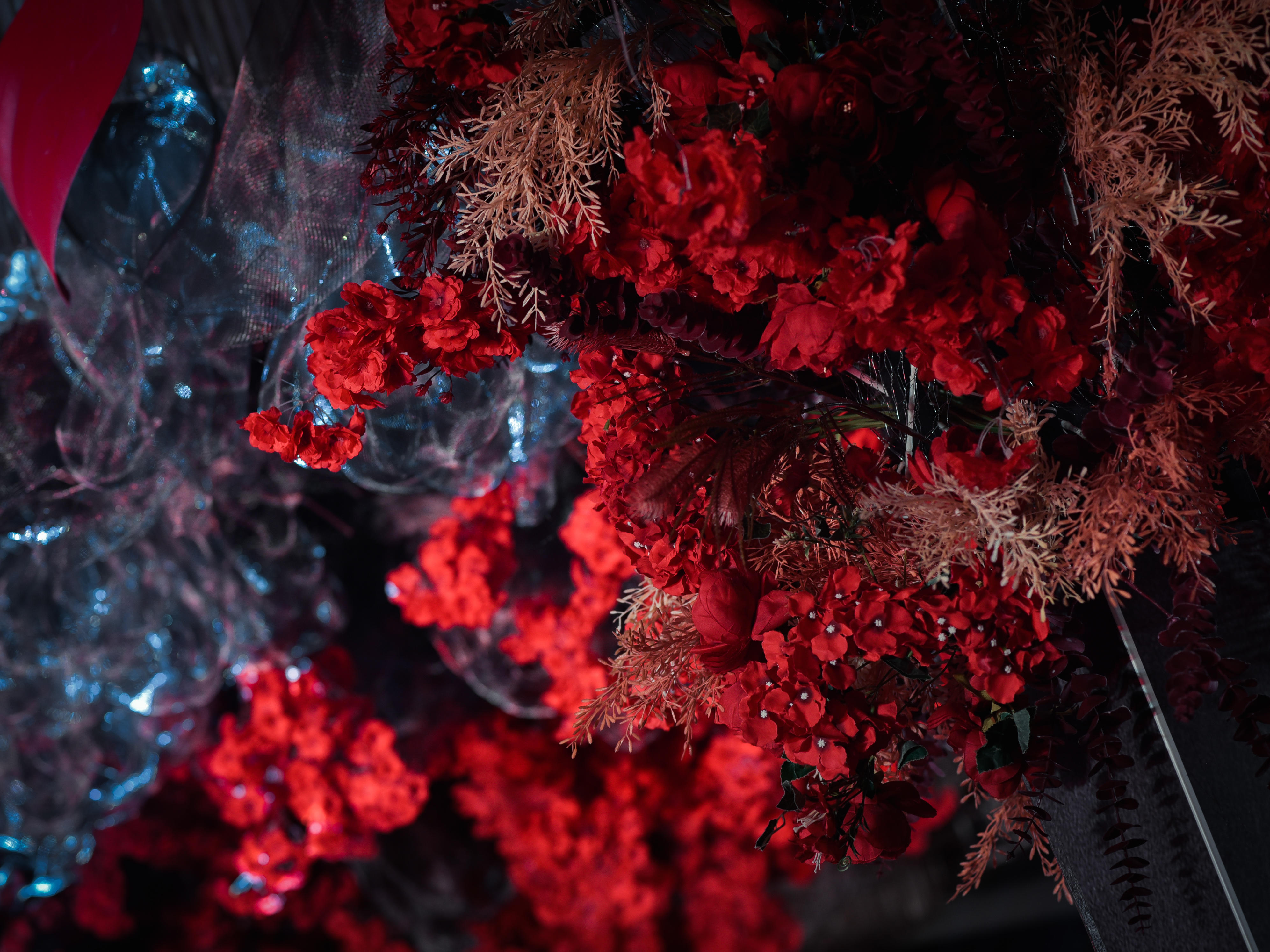 皇城铂嘉婚礼--RED／BLACK