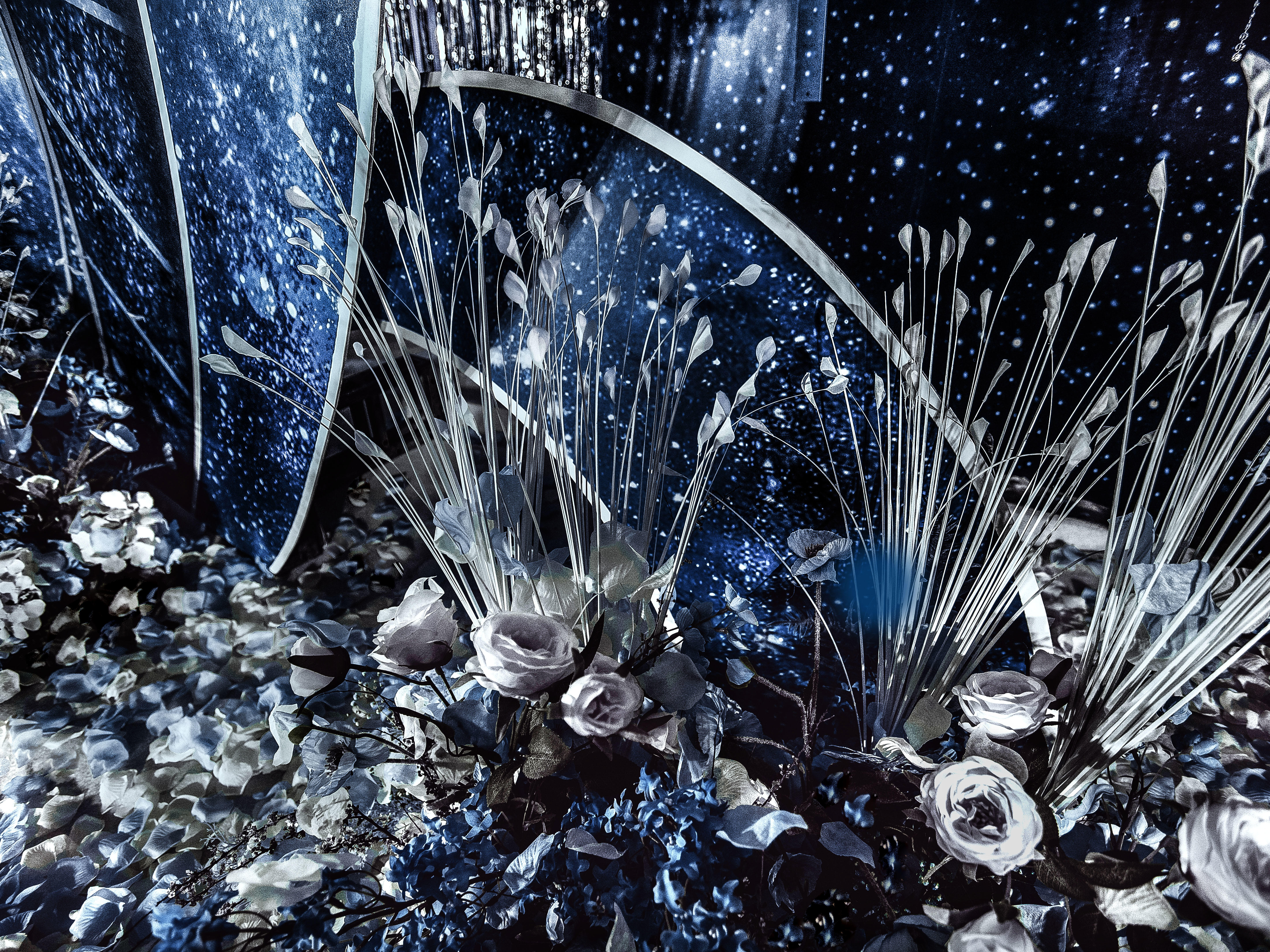 从童话里走出来的一场星空婚礼