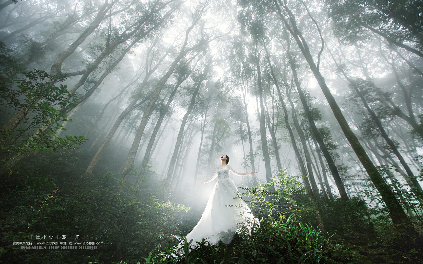 【Clouver Lyric 云水谣】梦境之旅