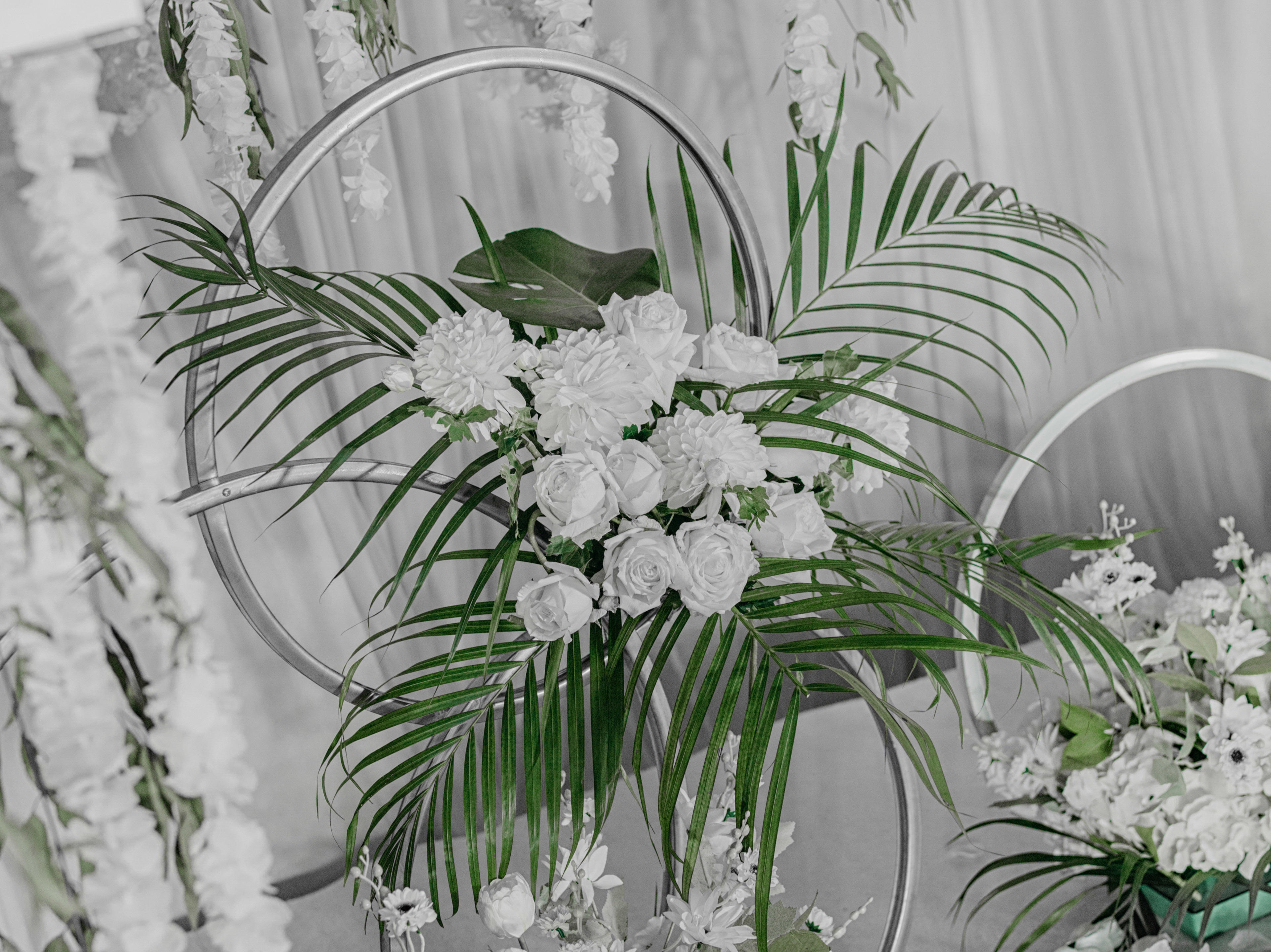 【白头吟】最初primary|惊鸿一瞥白绿色