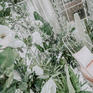 白沙里的绿椰林丨DreamPark·唯美森系婚礼