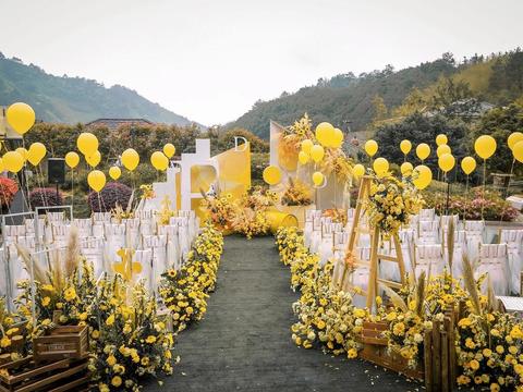 户外系|含金刚黄色活泼小清新韩式婚礼·千寻纪婚礼
