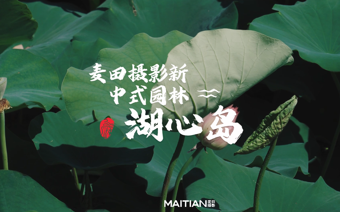 麦田摄影《湖心岛》中式园林摄影基地开始招募了！