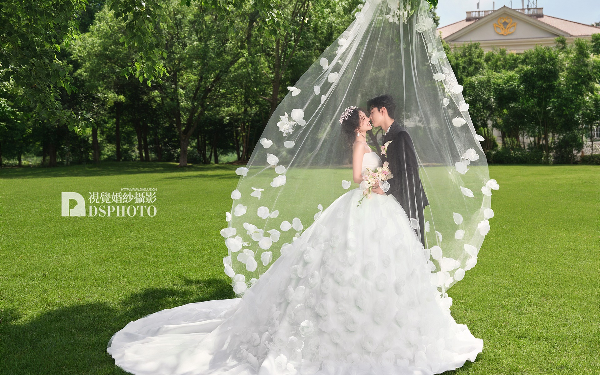 🍃森系婚纱照｜花瓣头纱+草坪，浪漫到犯规！！