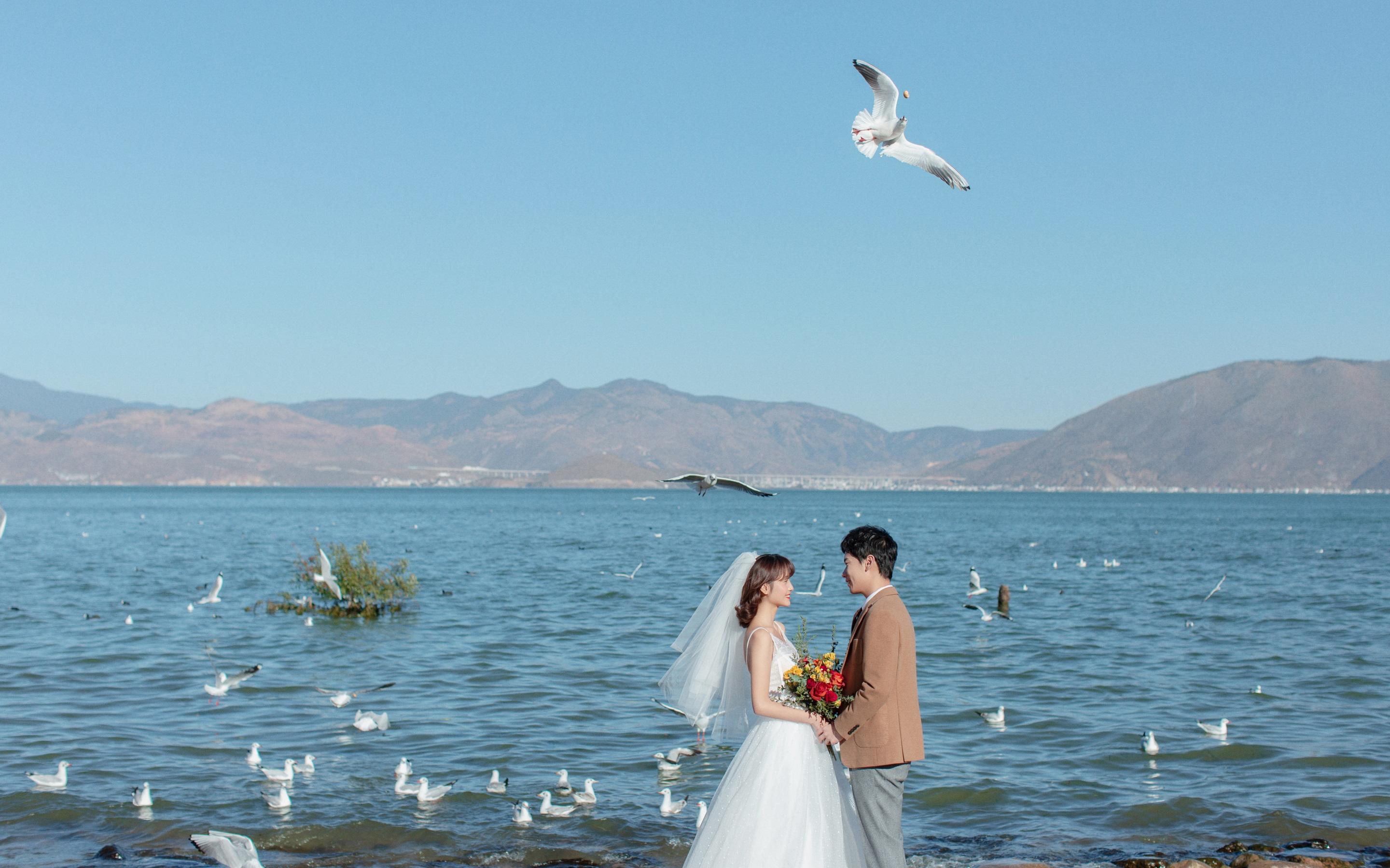  原創(chuàng)客片丨洱海海鷗丨浪漫婚紗照